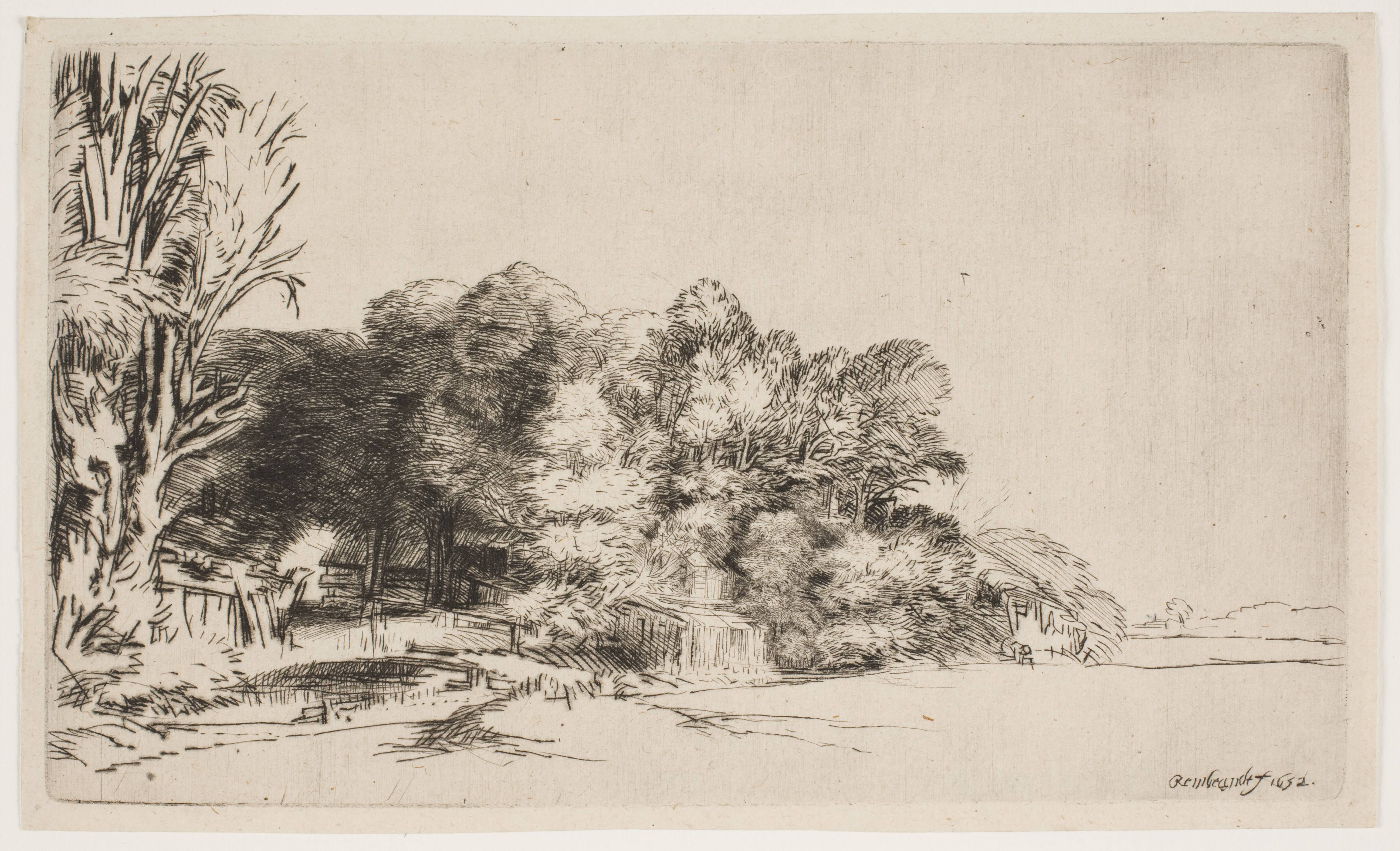 Clump of trees with a vista