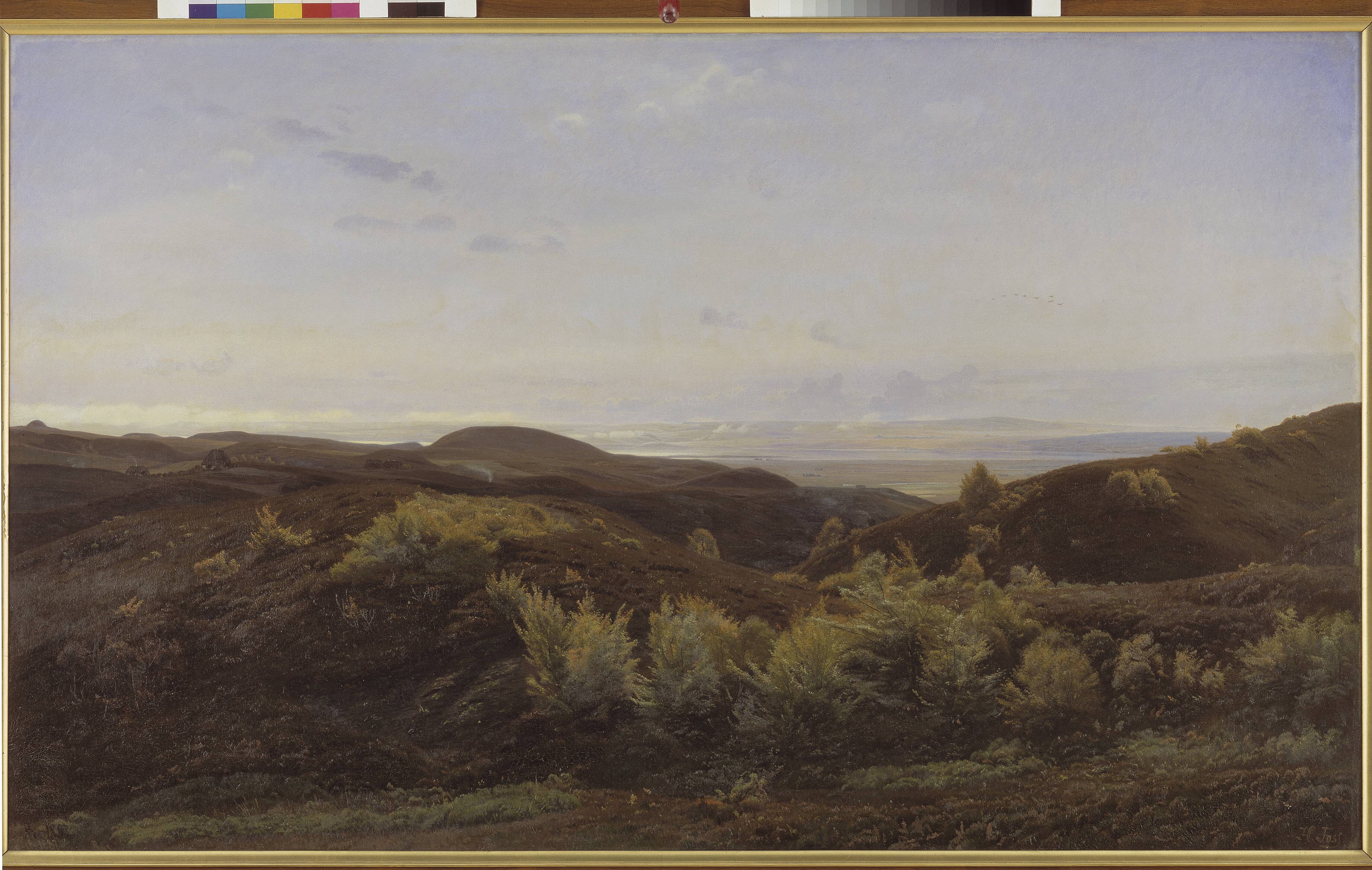 Heather Hills near Rye, Jutland