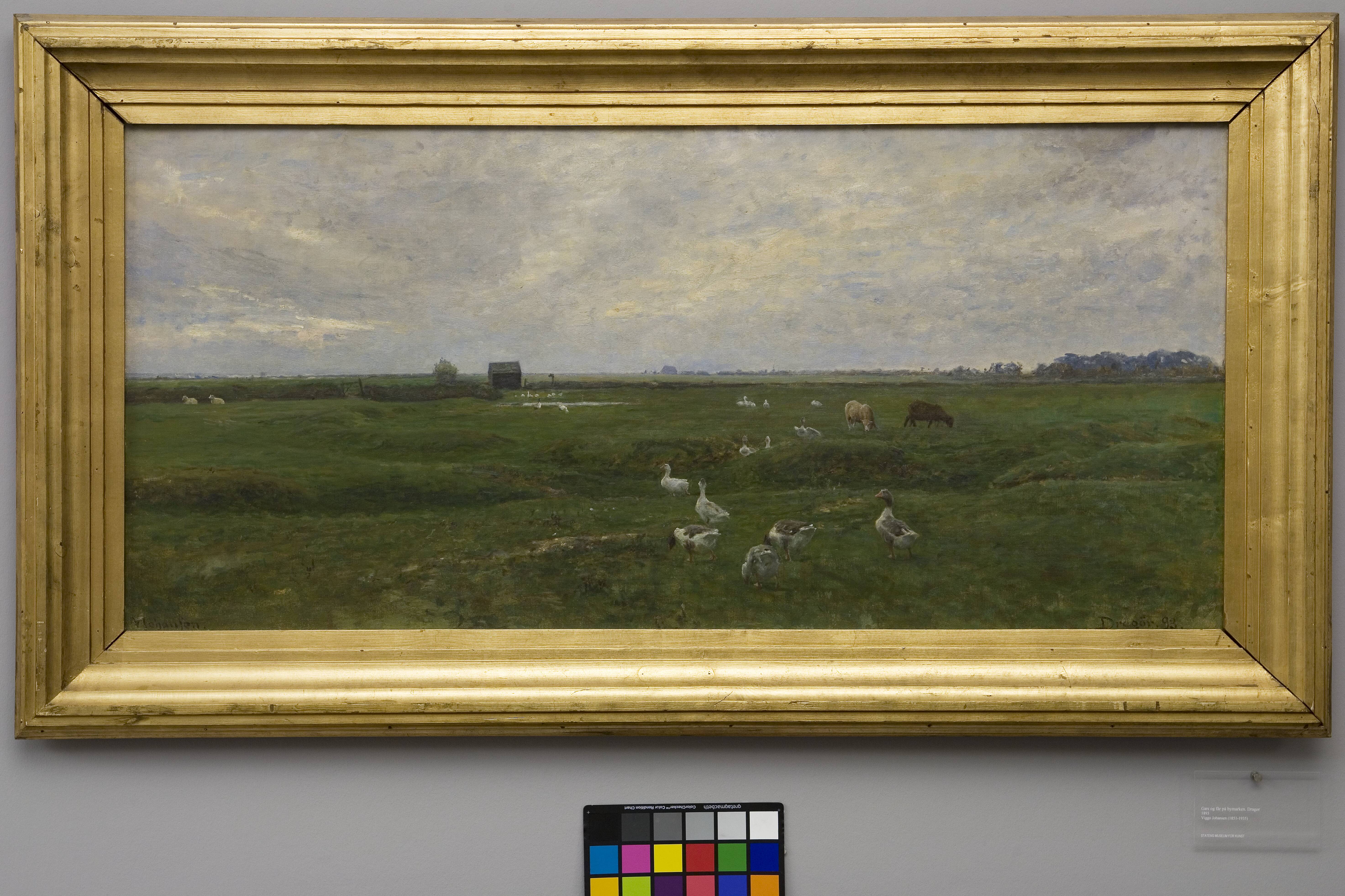 Geese by a Lake. A Storm is Brewing. Dragør, the Island of Amager