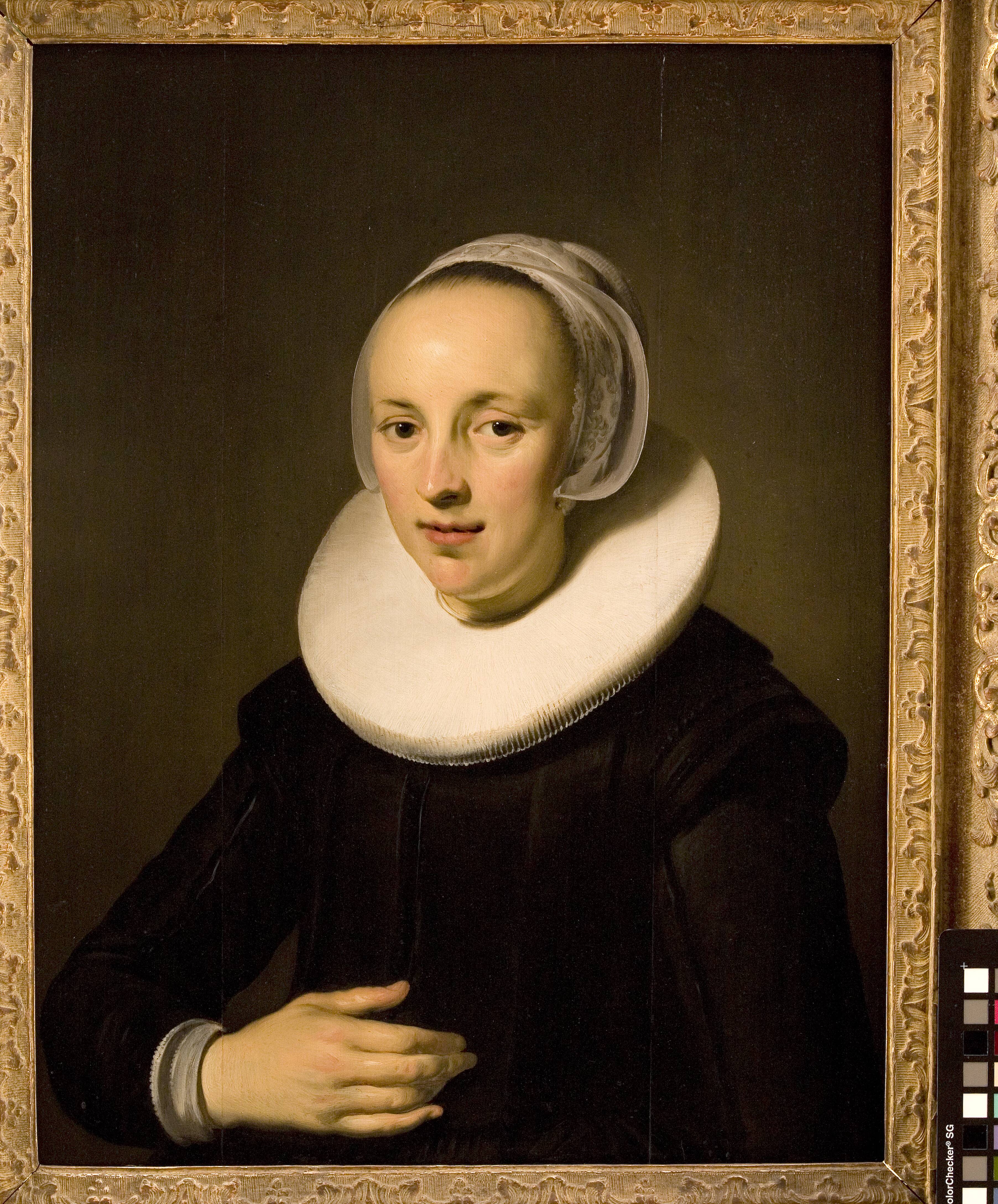 Portrait of a Lady