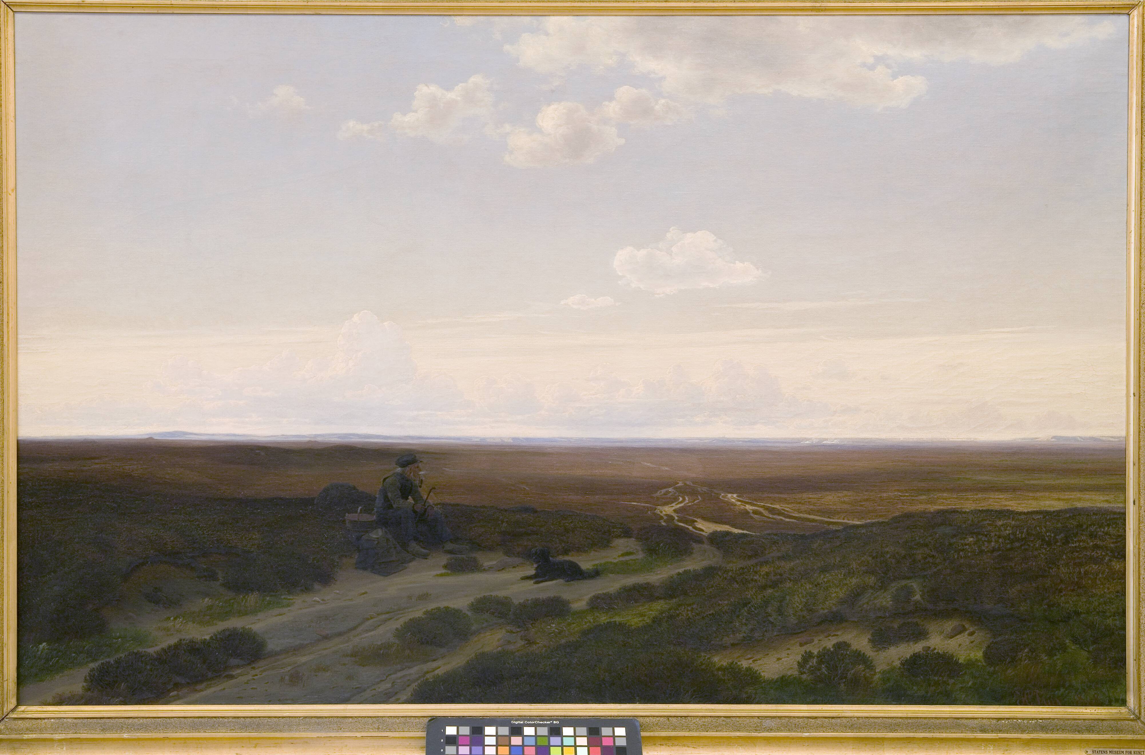 View of Pårup Moors near Silkeborg, Jutland