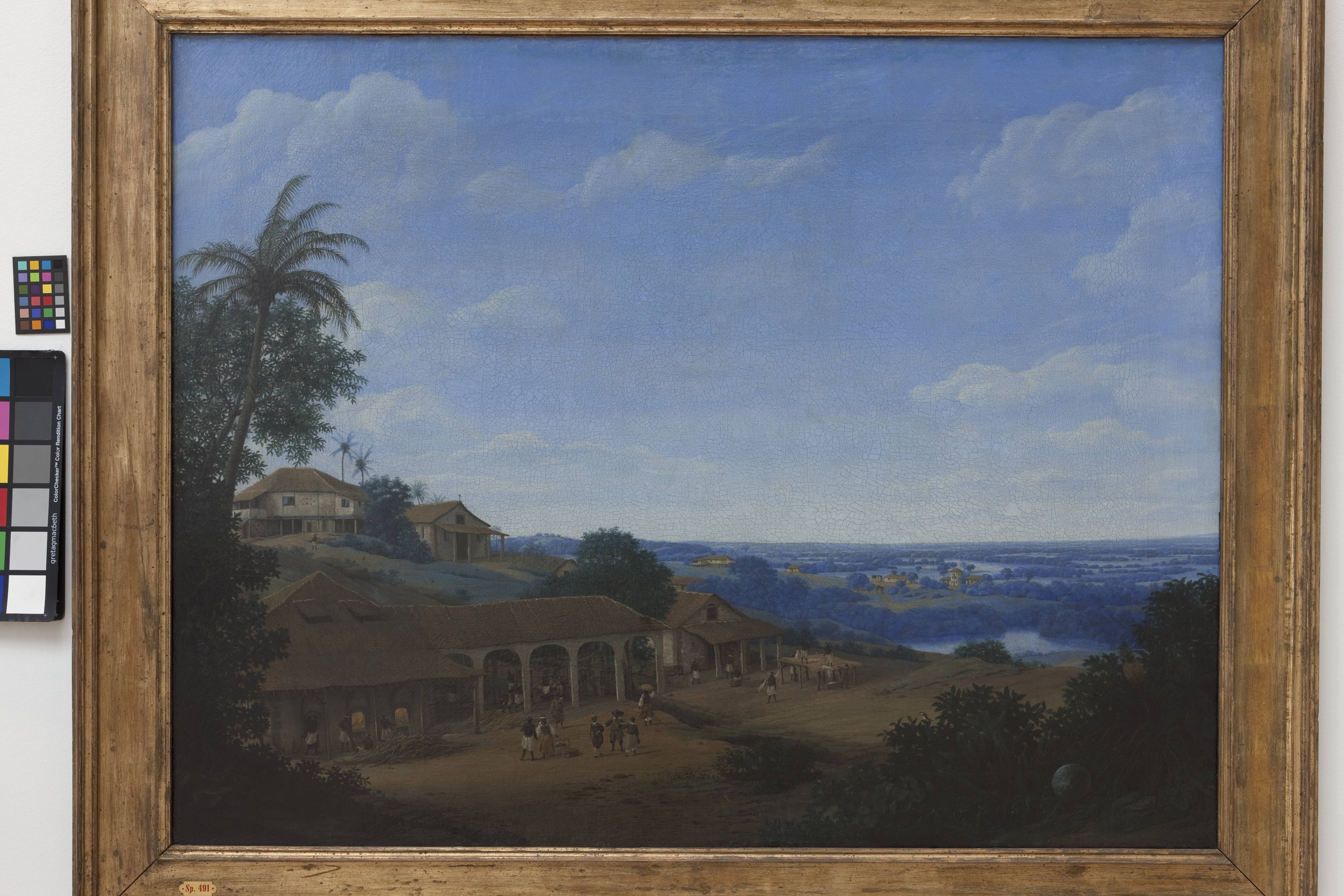 Landscape in Brazil with Sugar Plantation