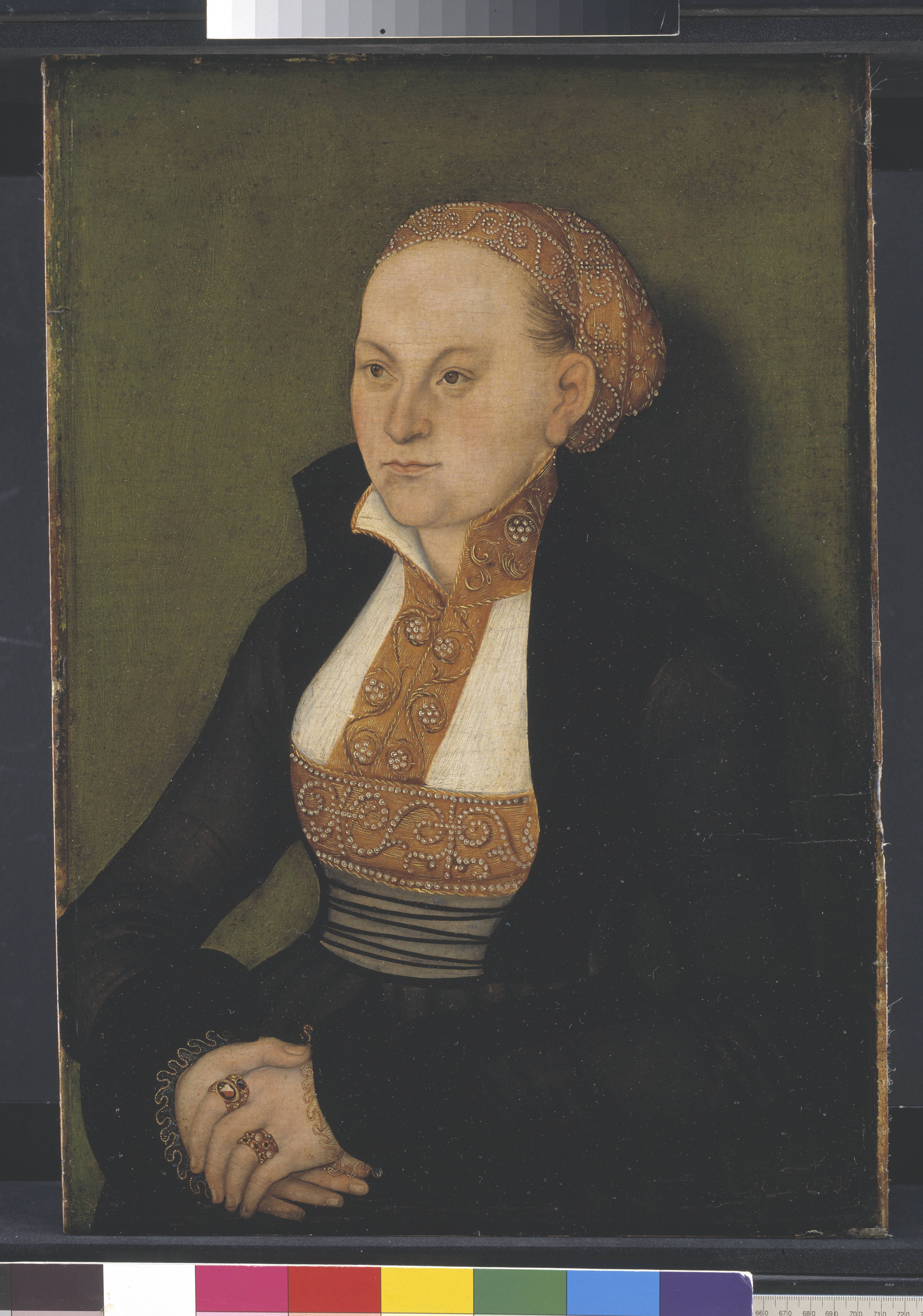Portrait of a Lady