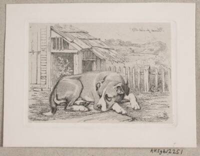 En liggende hund