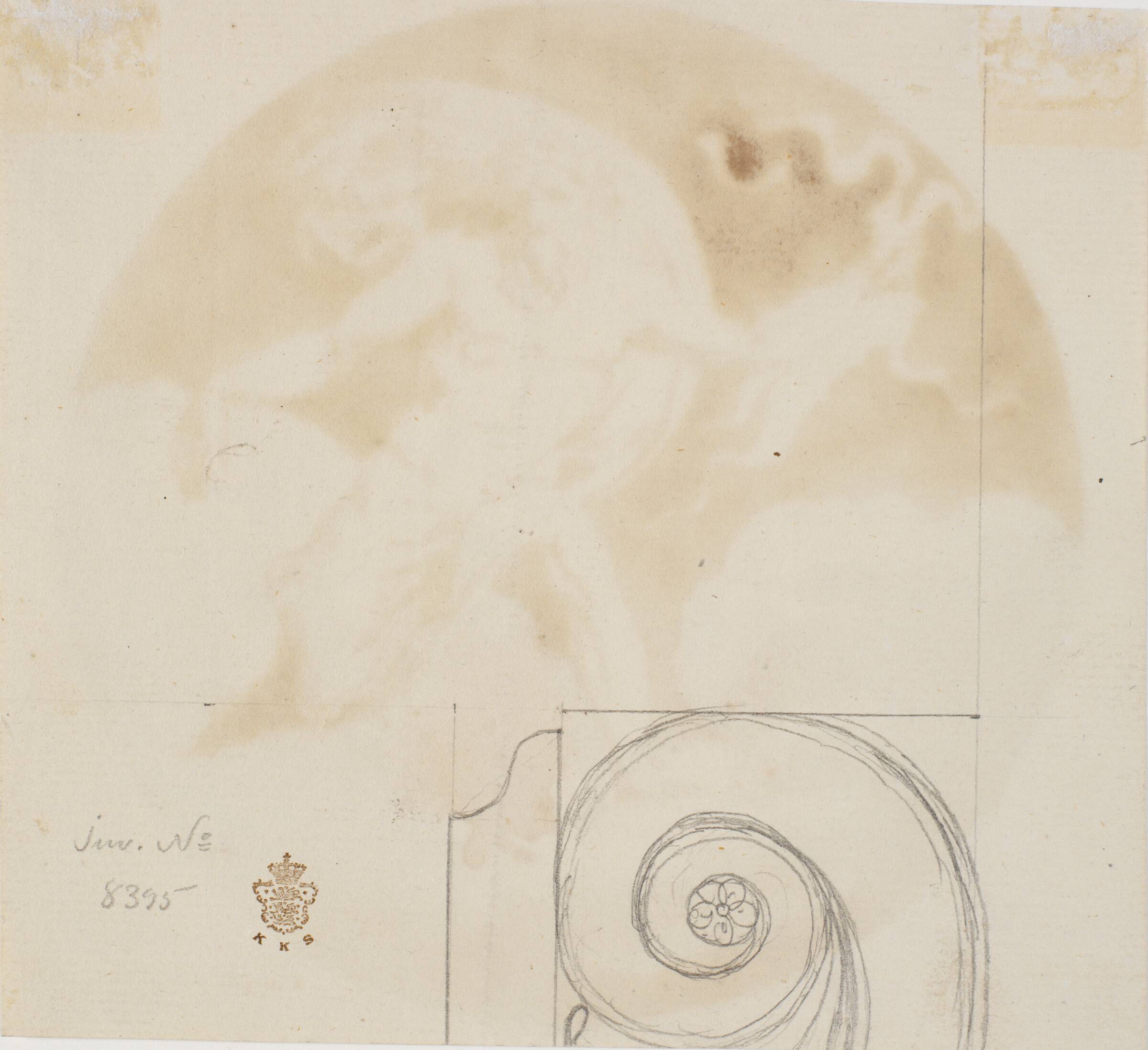 Del af et ionisk kapitæl, Nicolai Abildgaard, 1743-1809
