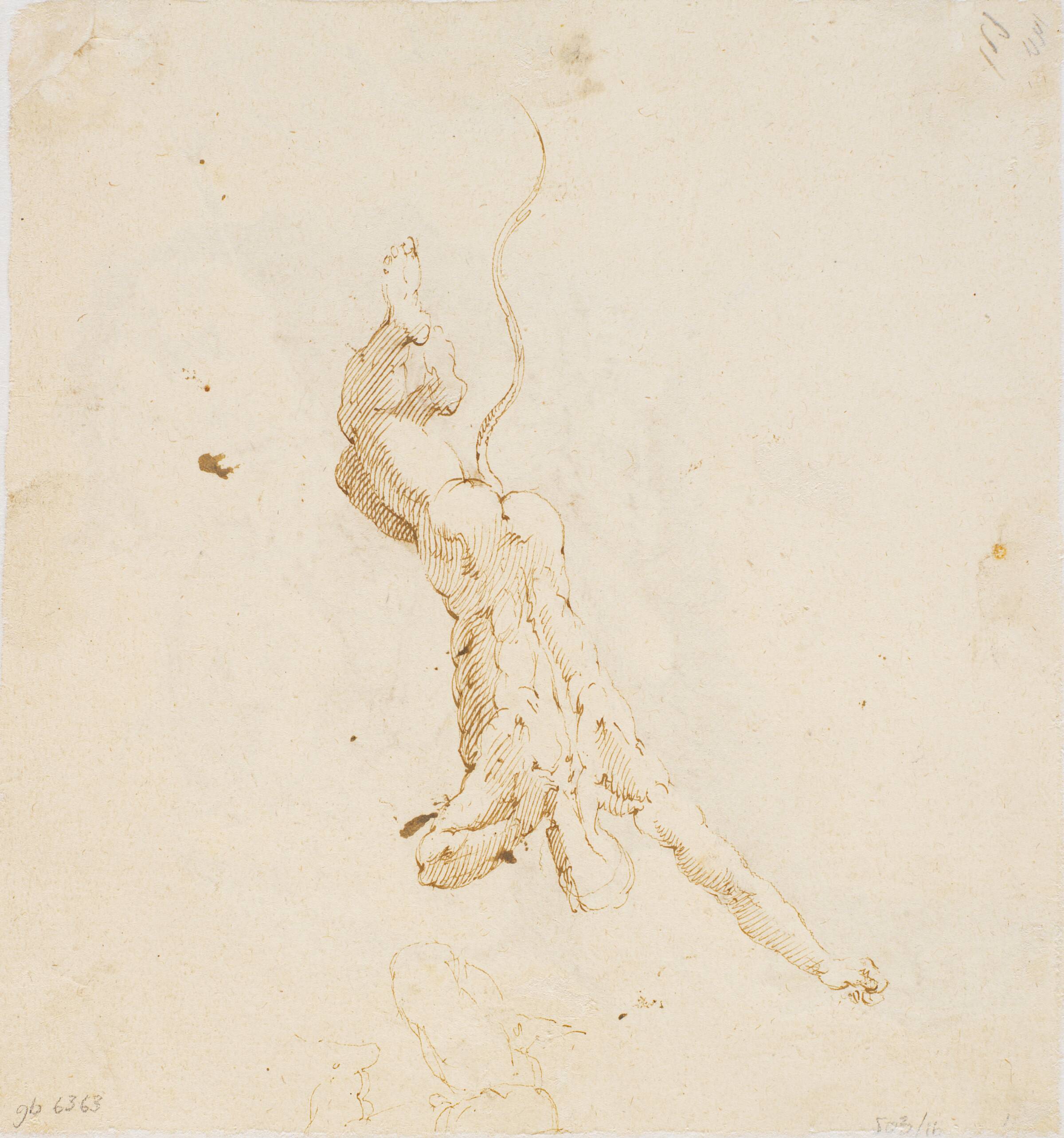 Styrtende djævel (kalket gennem papiret), Frantz Clein, 1582-1658