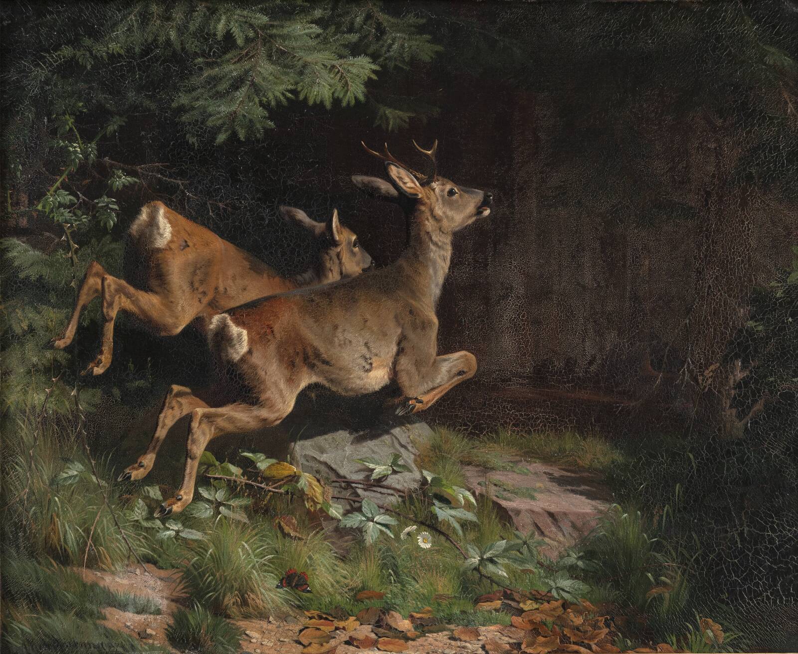 Rådyr, A. Mackeprang, 1874