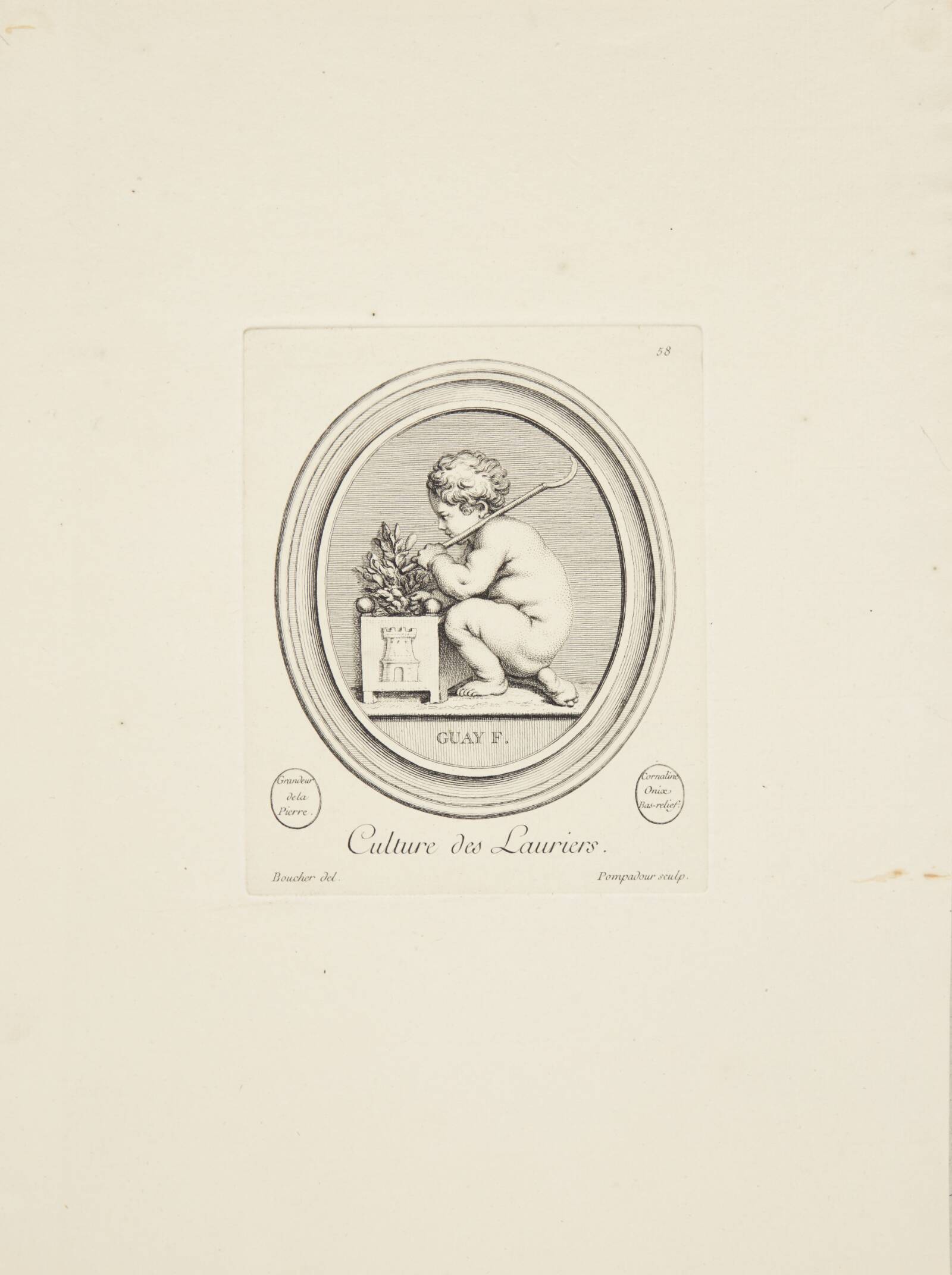 Voksende laurbær, Madame de Pompadour, 1753-1757