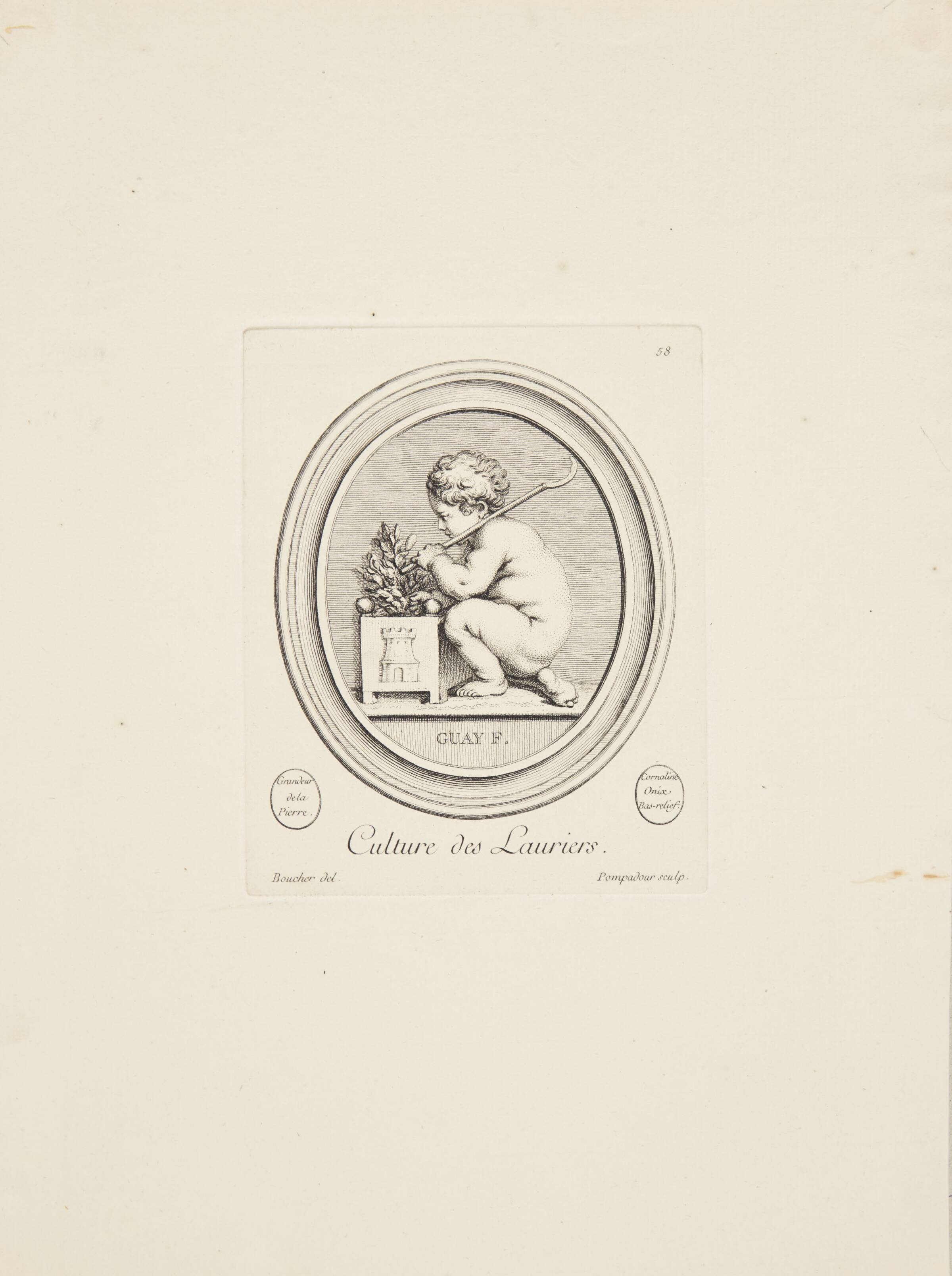 Voksende laurbær, Madame de Pompadour, 1753-1757