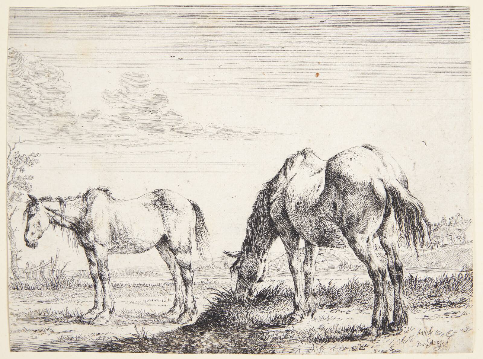 Græssende hest, Dirk Stoop, 1651
