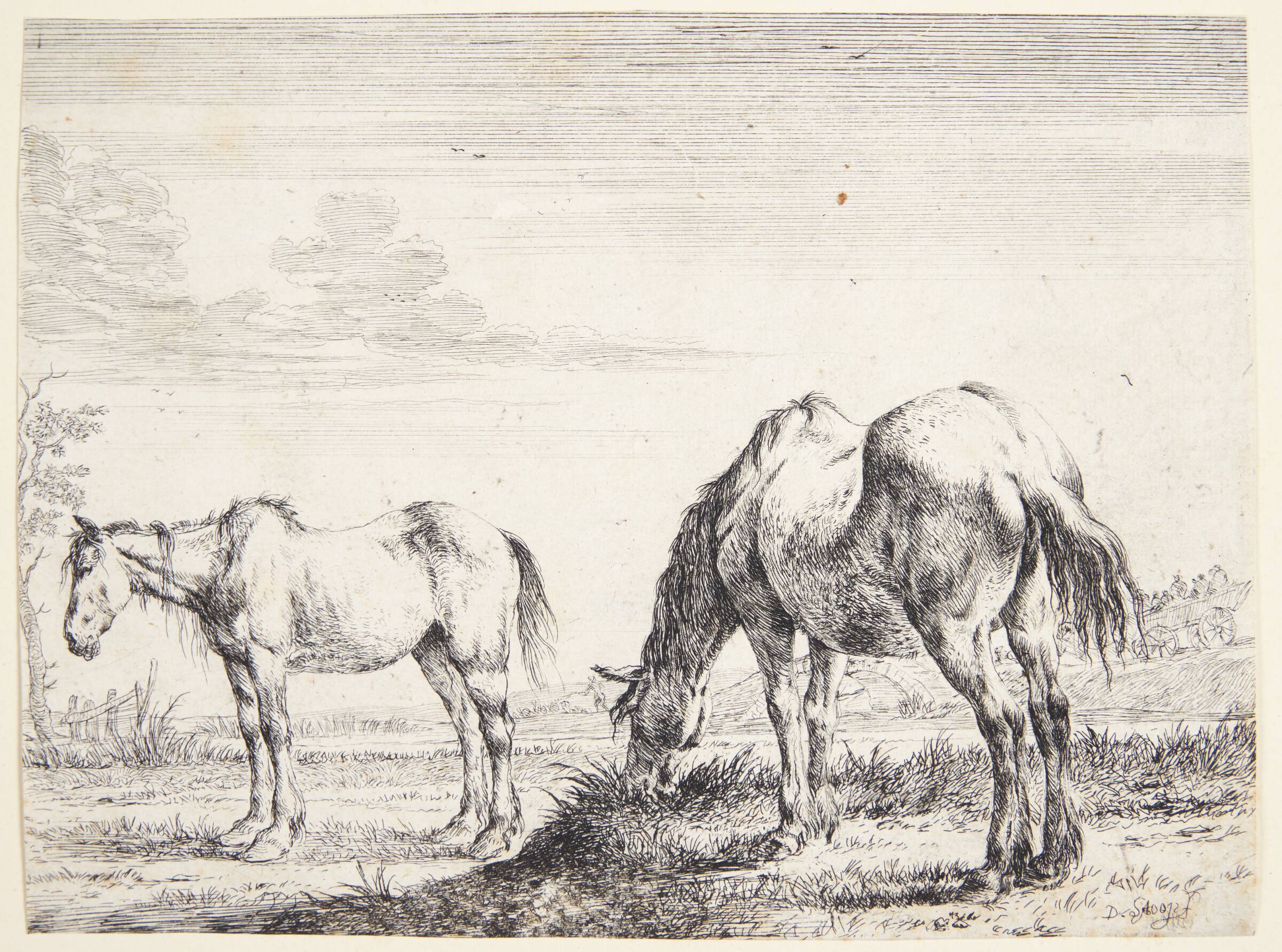 Græssende hest, Dirk Stoop, 1651