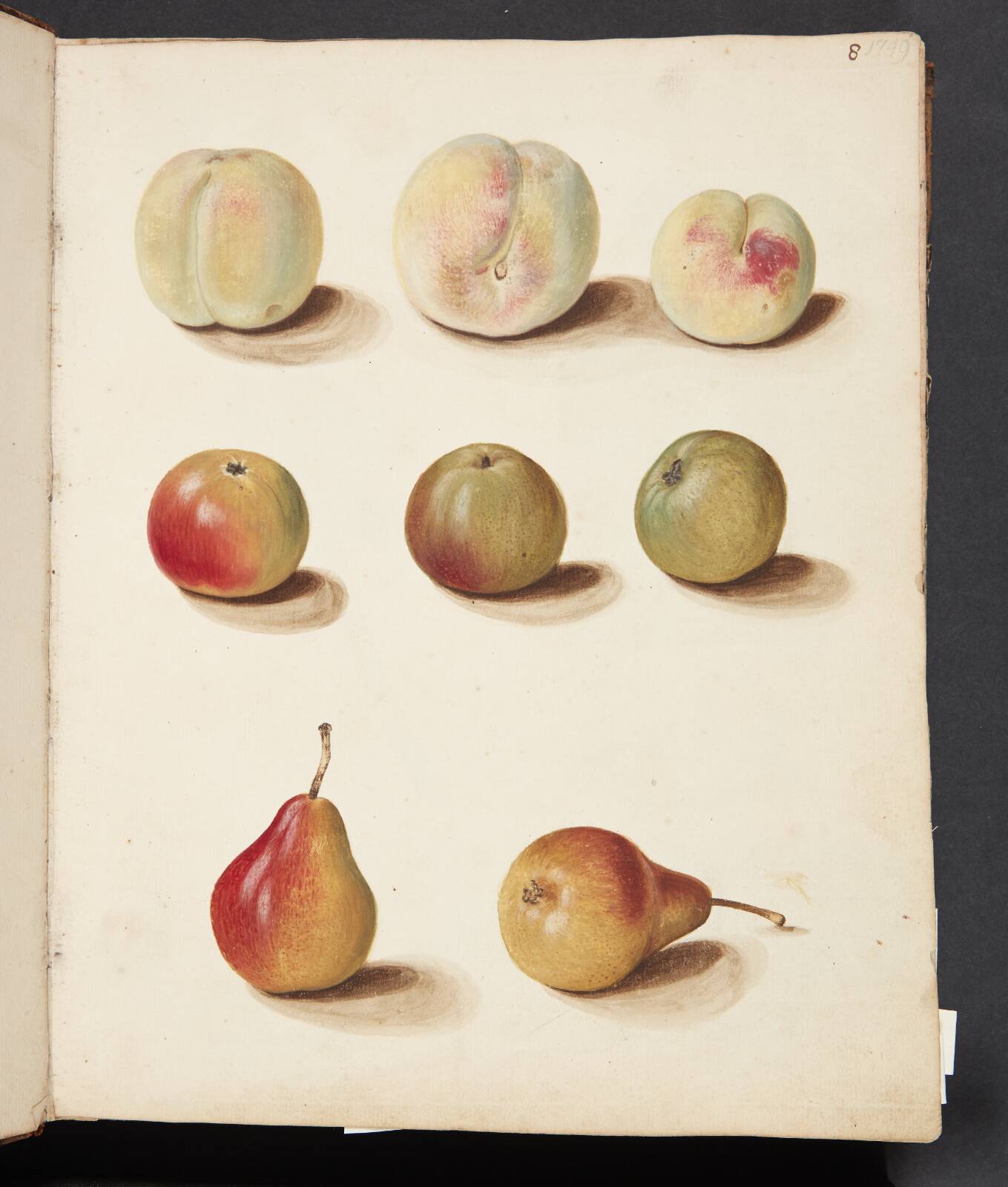 Studie af fersken, æble og pære, by Johanna Fosie, 1749