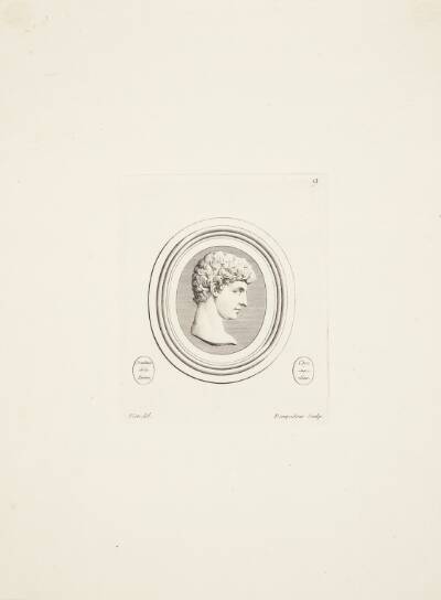 Mandshoved (Antinous) i profil mod højre