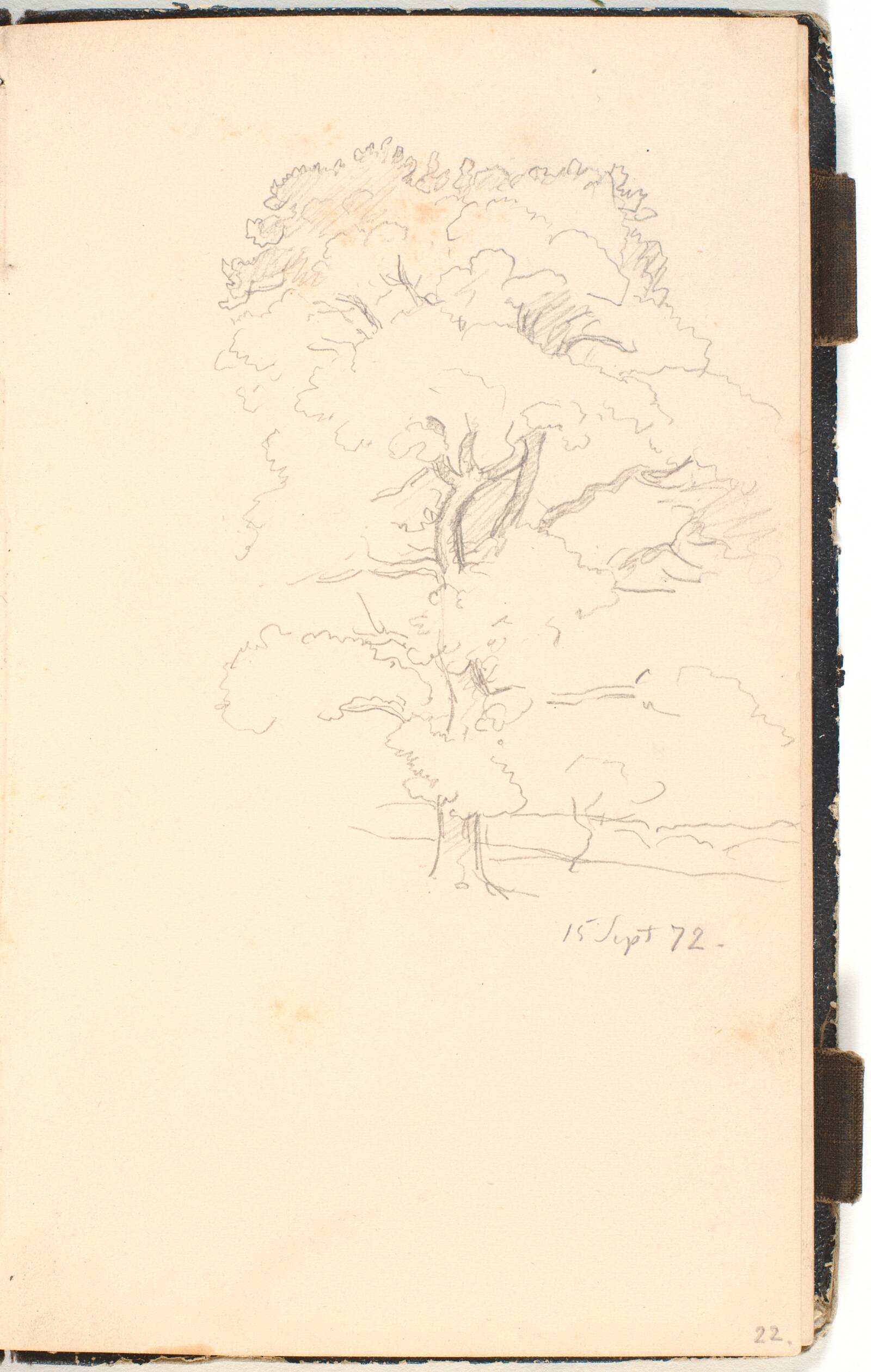 Et stort træ, muligvis eg, P.C. Skovgaard, 1872
