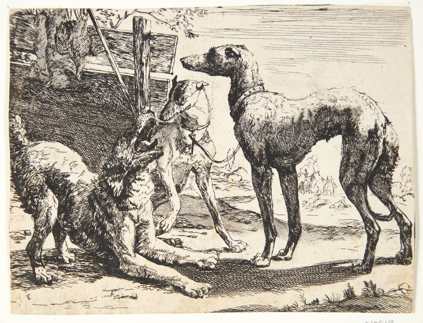 Tre hunde, Paulus van Hillegaert, 1654