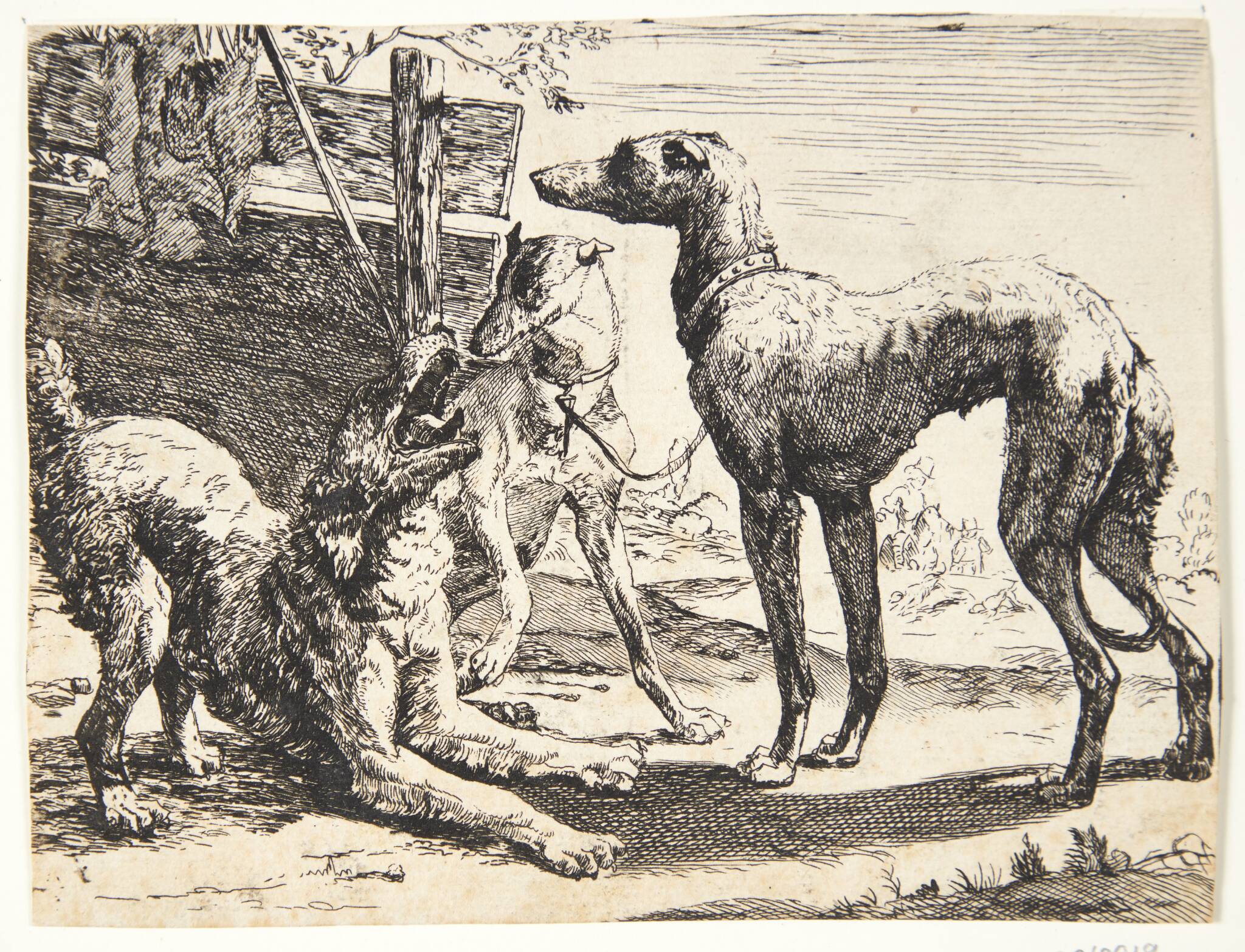 Tre hunde