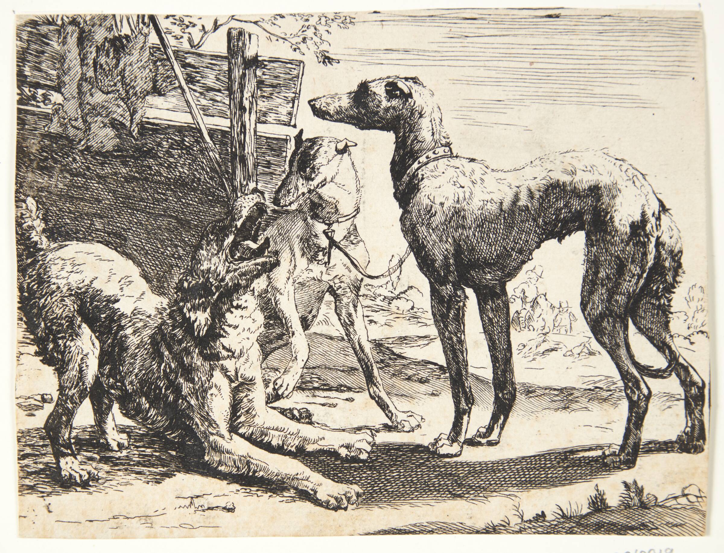 Tre hunde, Paulus van Hillegaert, 1654