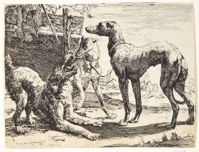 Tre hunde