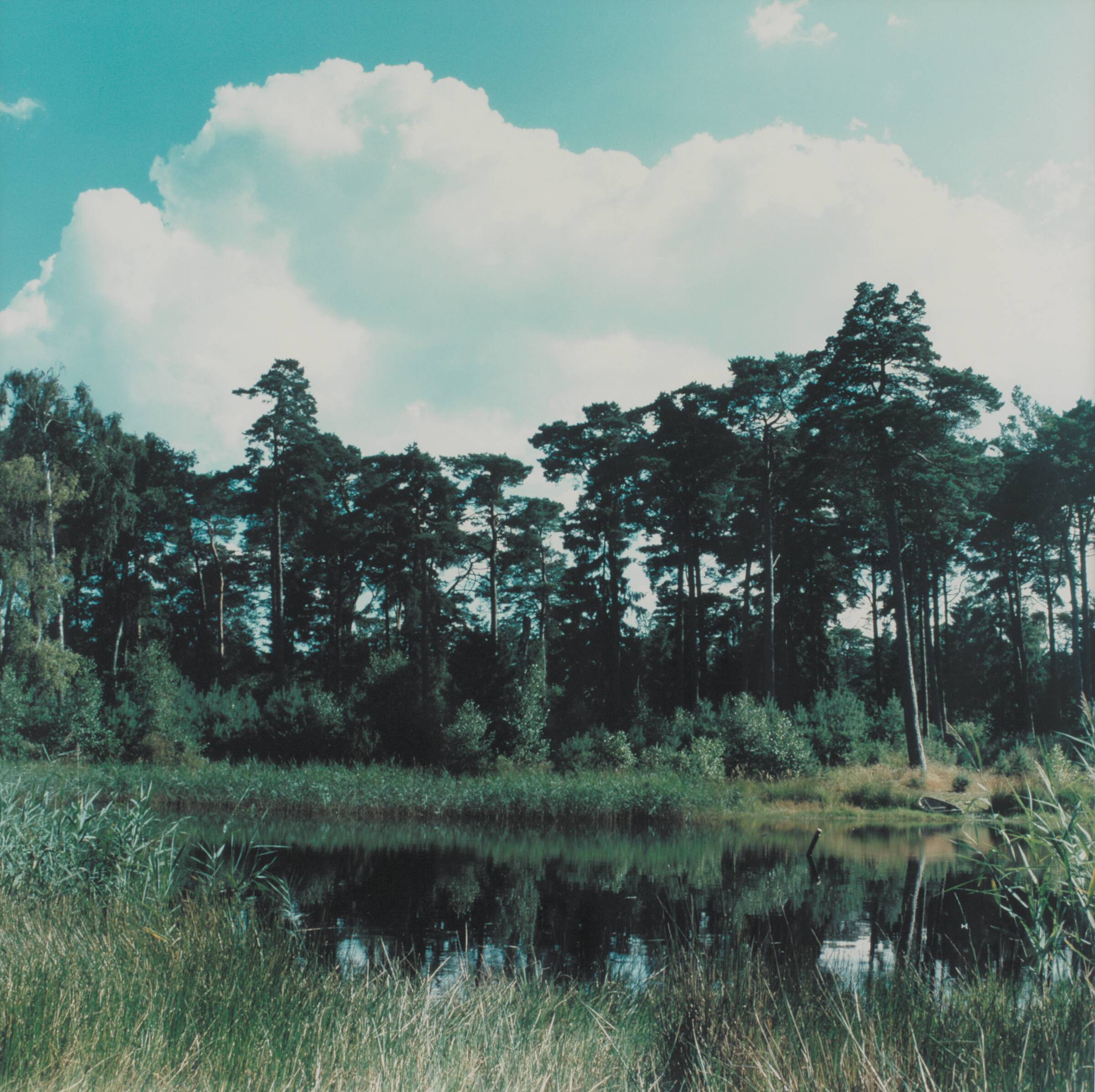 The Lake (The Lake with the boat at the bank) 1, Peter Land, 1999