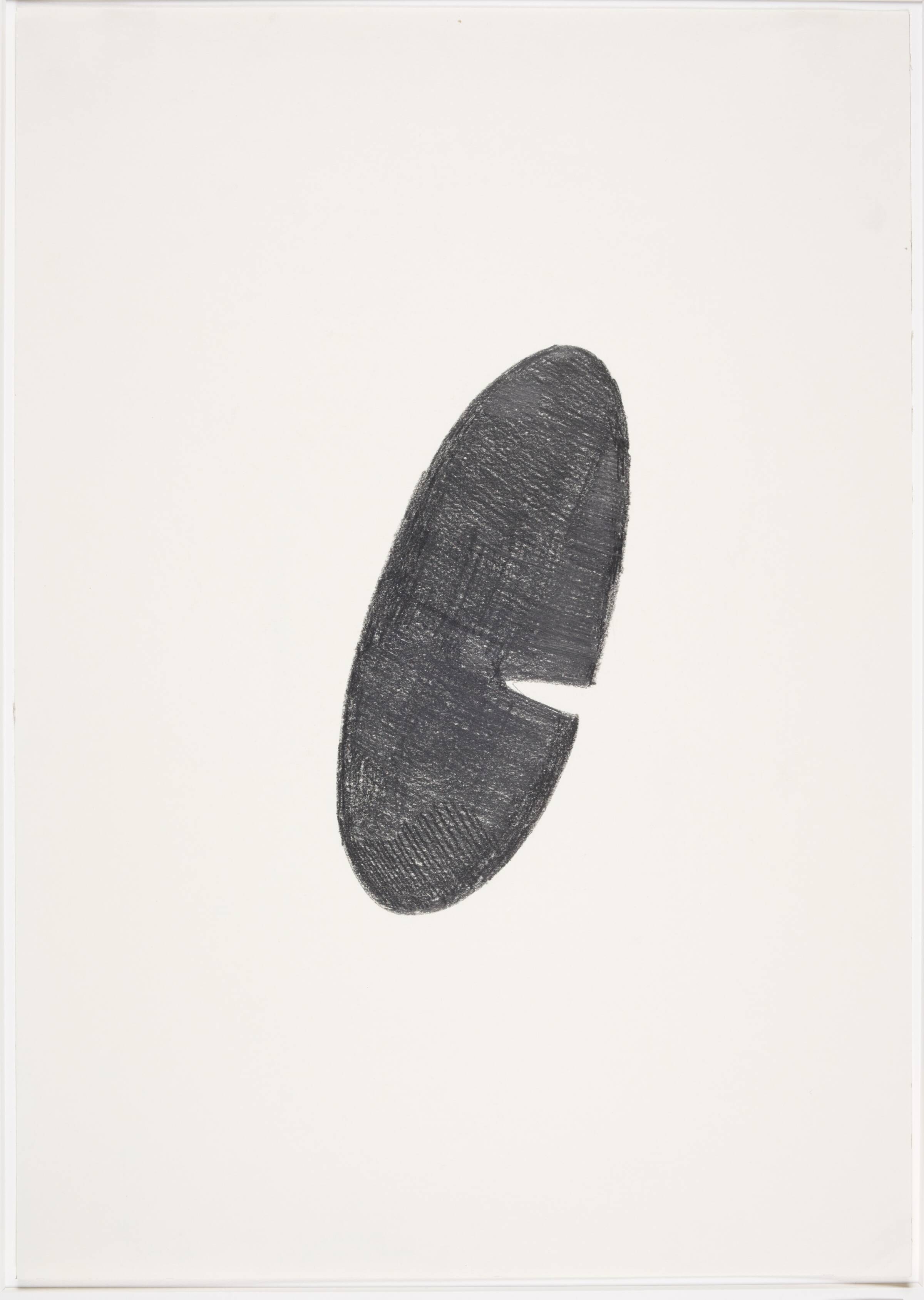 Different views and perspectives, Saskia Te Nicklin, 2012