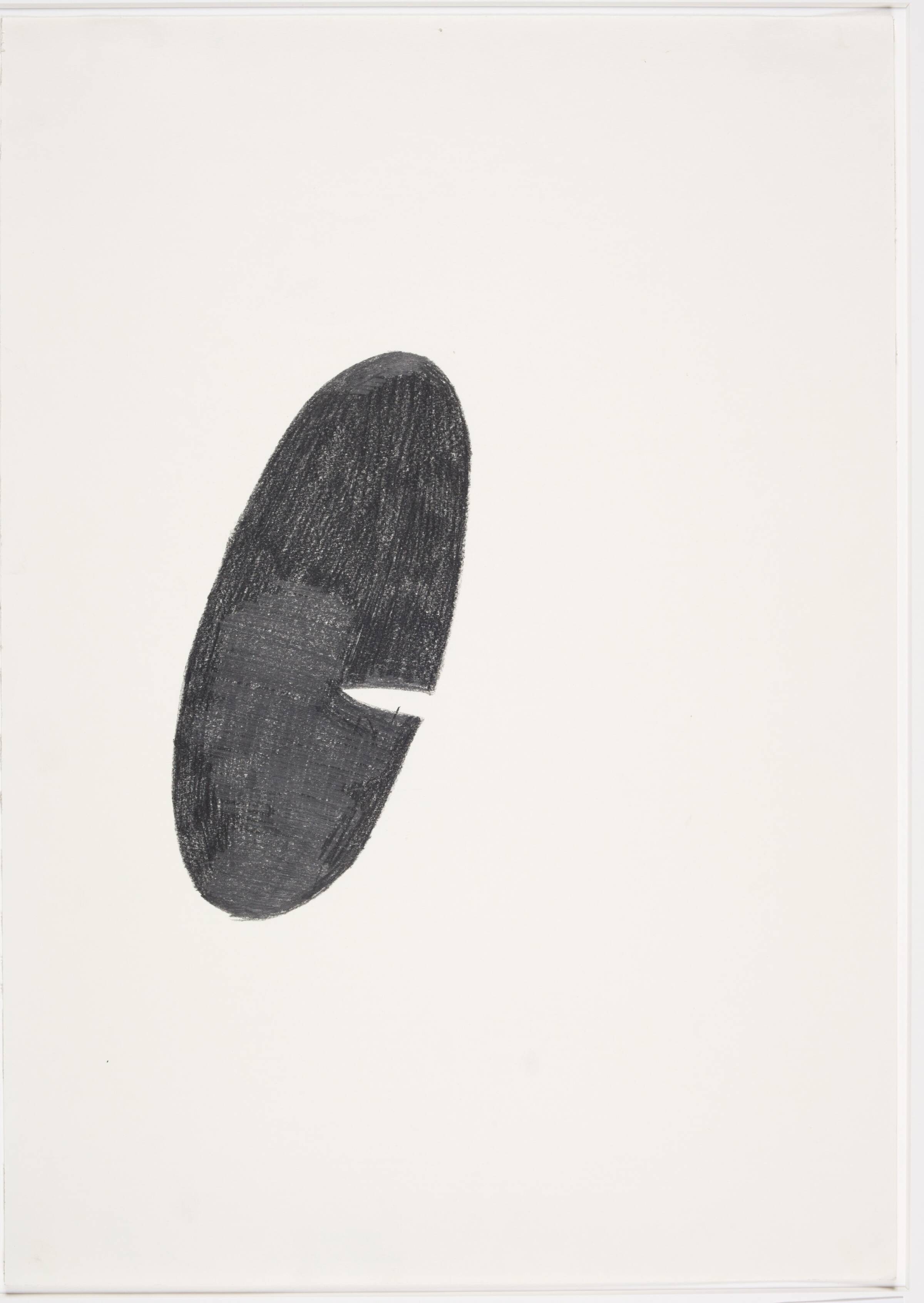 Different views and perspectives, Saskia Te Nicklin, 2012