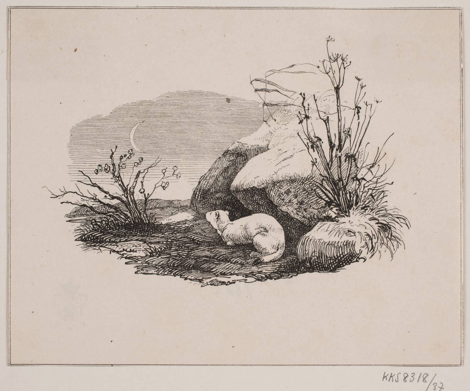 Lækatten, Adolph Kittendorff, 1845
