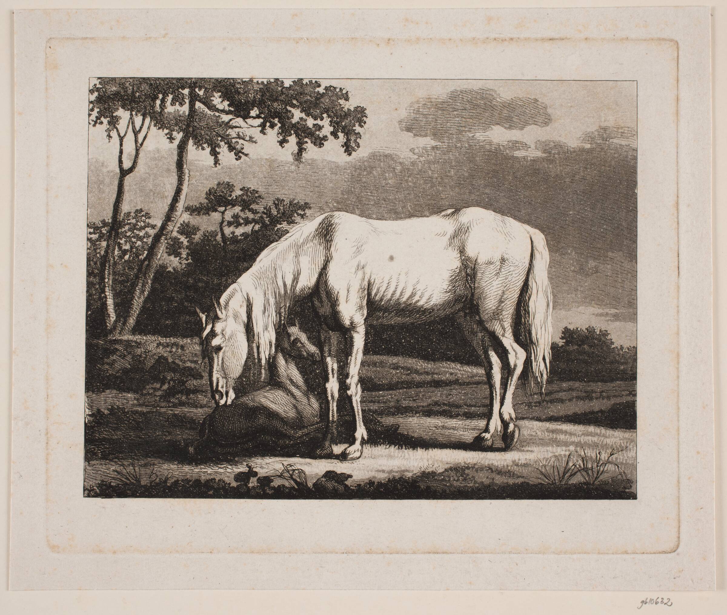 En hvid hoppe og et liggende føl, Christian David Gebauer, 1777-1831