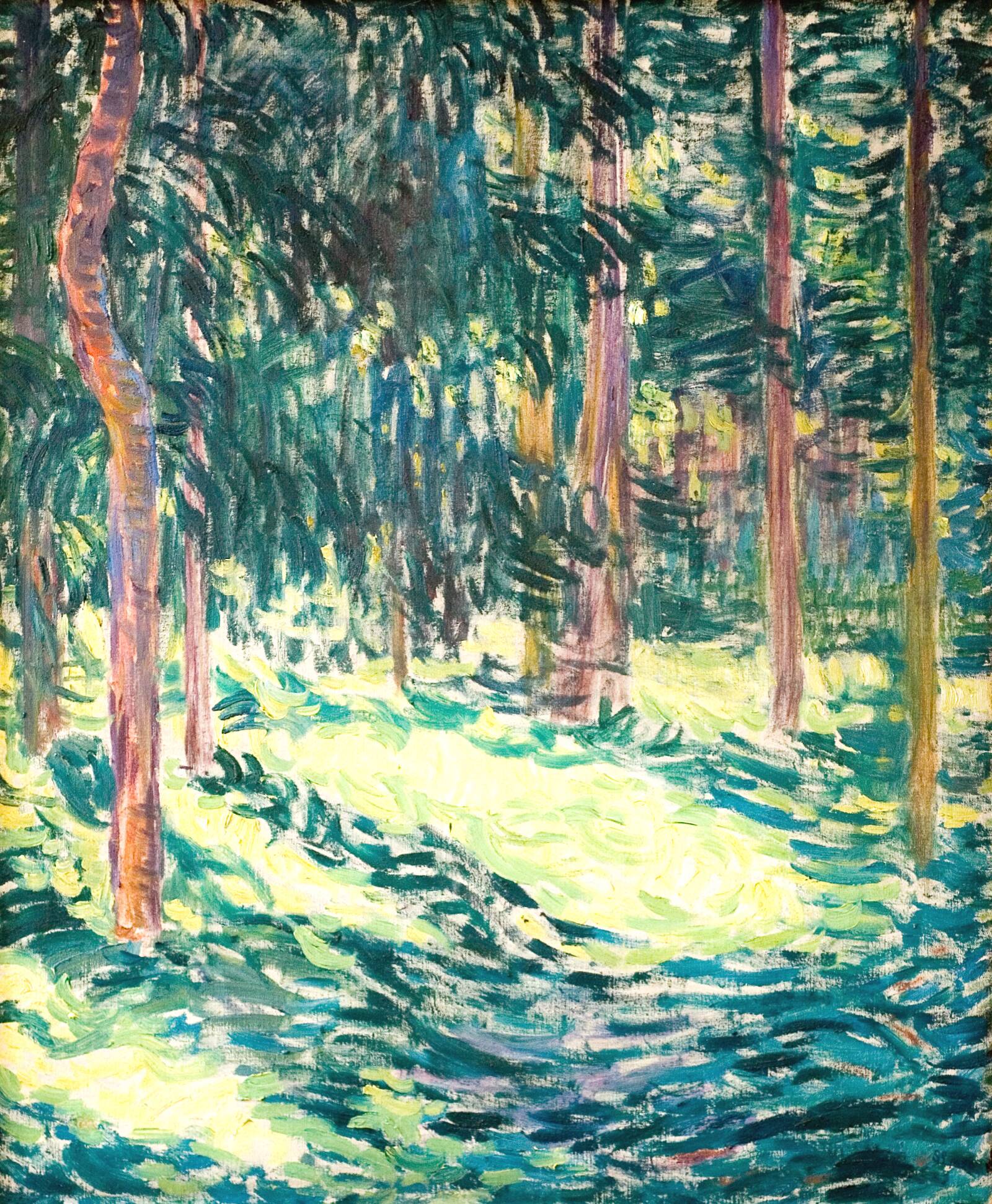 Sol i granskoven. Tisvilde, Sigurd Swane, 1908
