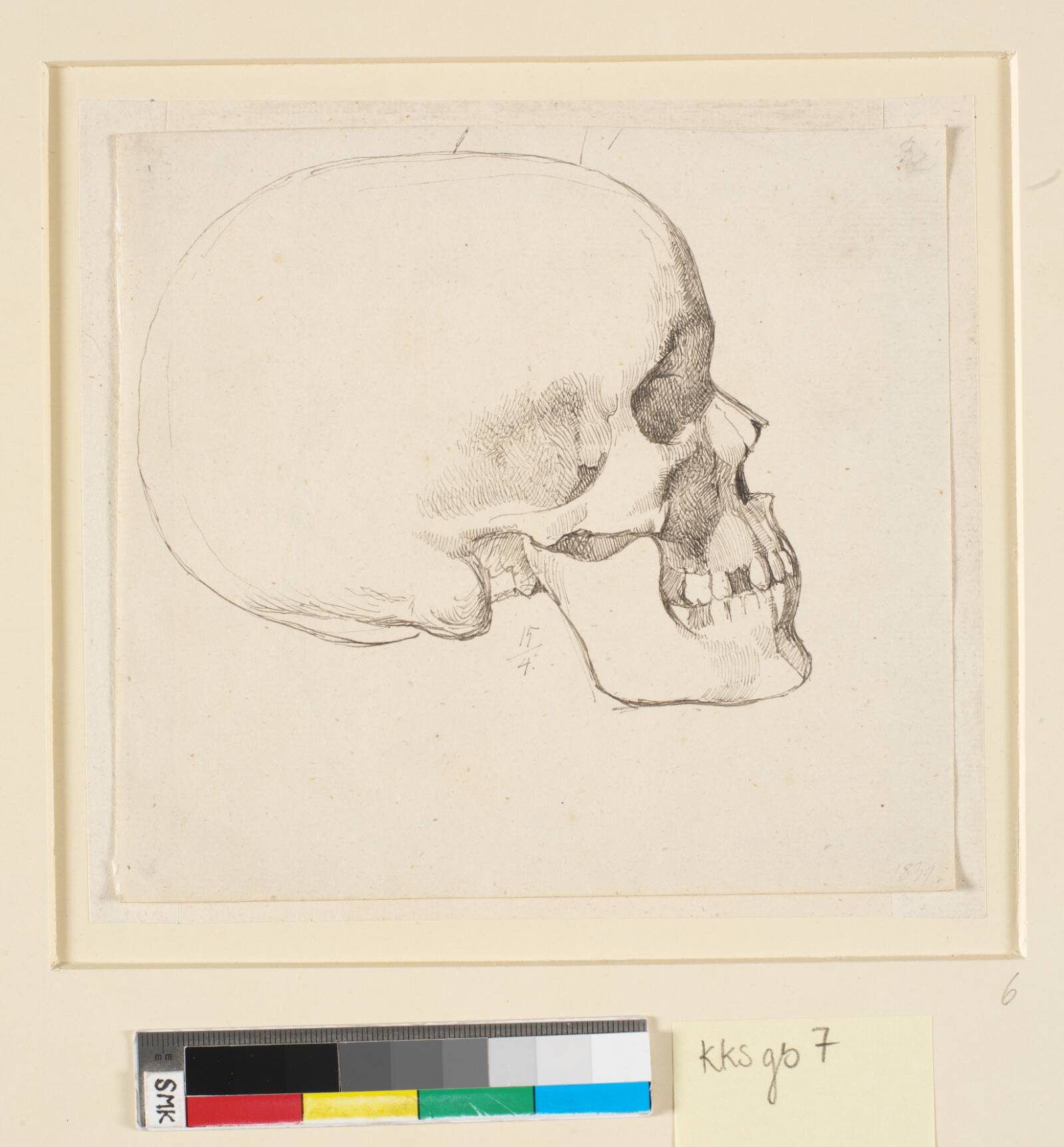 Kranium, i profil t.h., Johan Thomas Lundbye, 1839
