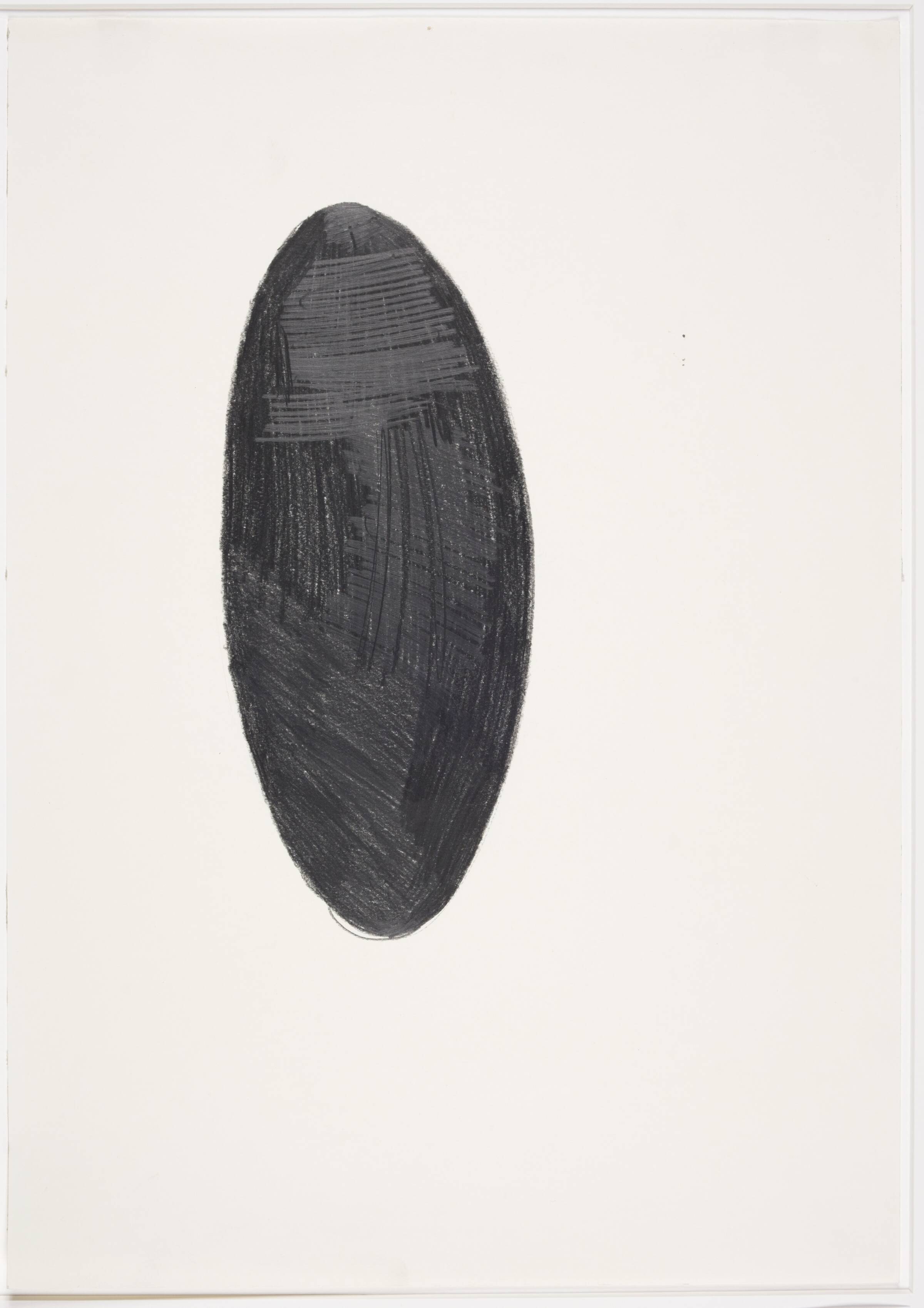 Different views and perspectives, Saskia Te Nicklin, 2012