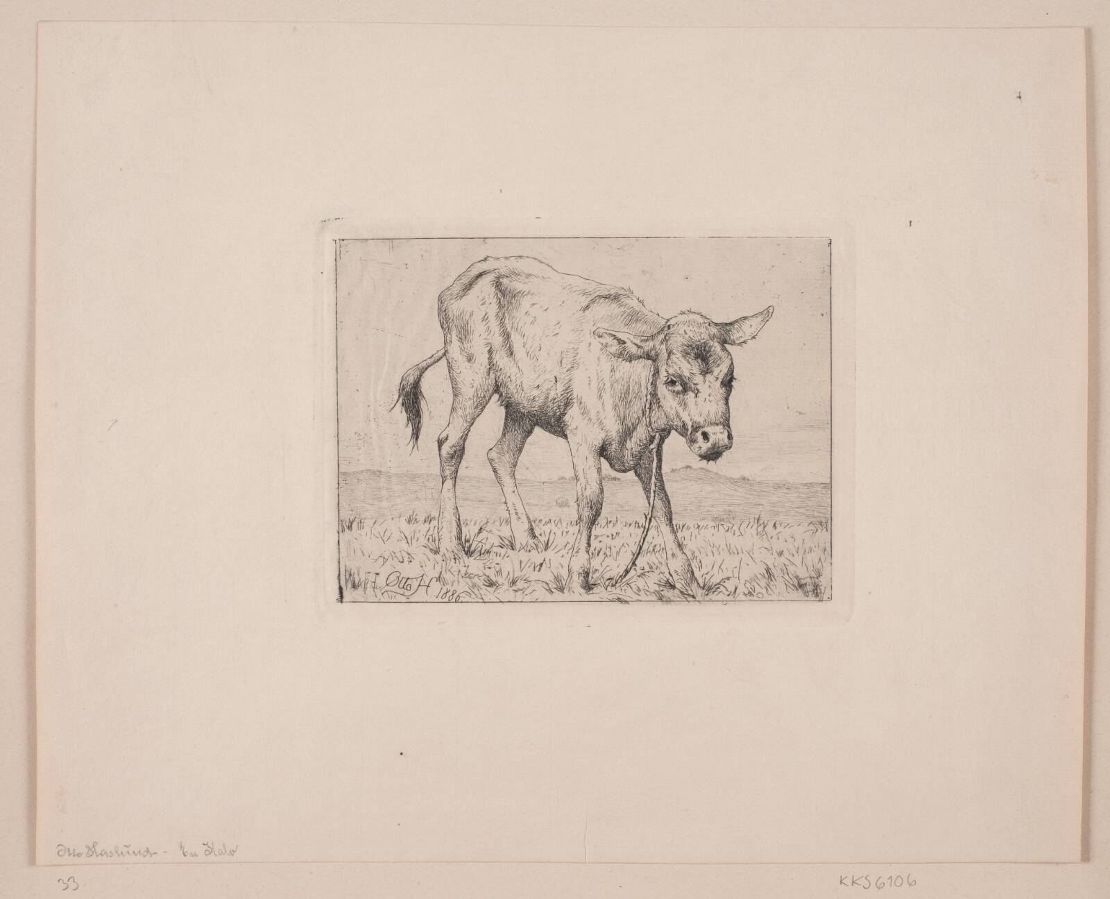 En kalv, Otto Haslund, 1886