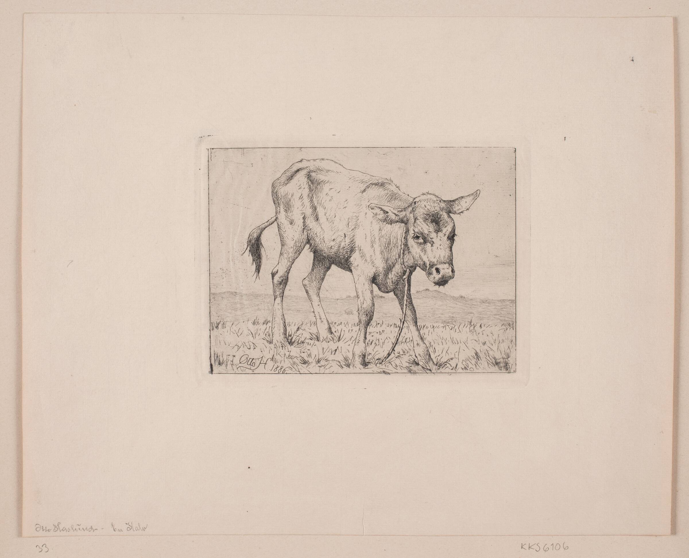 En kalv, Otto Haslund, 1886