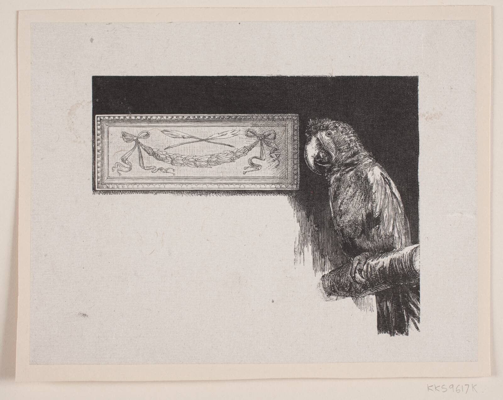 Poppe, Ubekendt, 1885