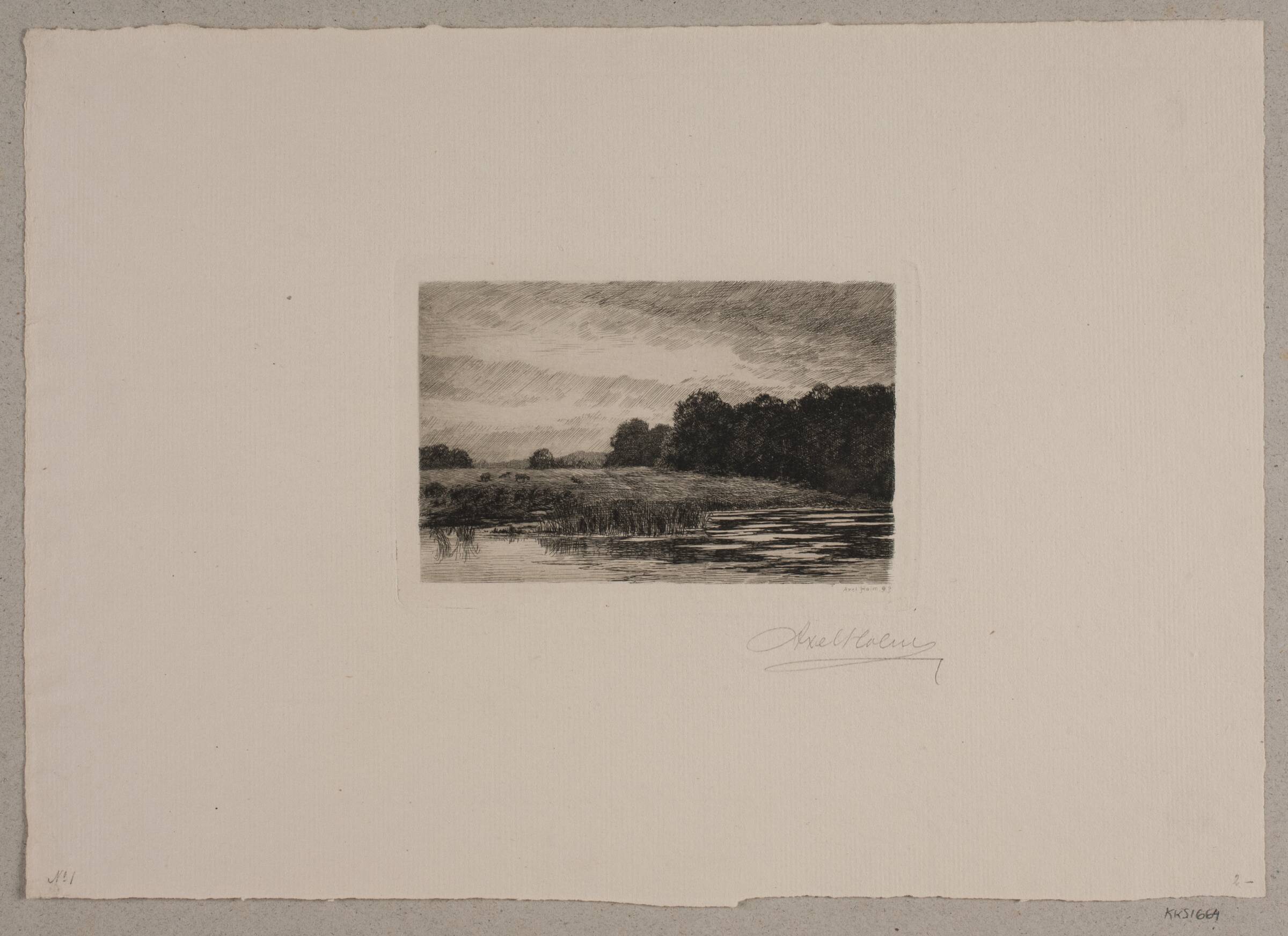 Skoven ved Fortunen, Axel Holm, 1893