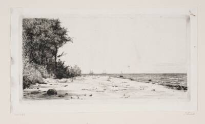 Fra Sjællands nordkyst. Hornbækplantagen