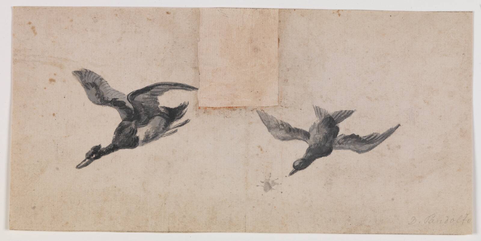 To flyvende fugle, Pandolfo Reschi, 1640-1696