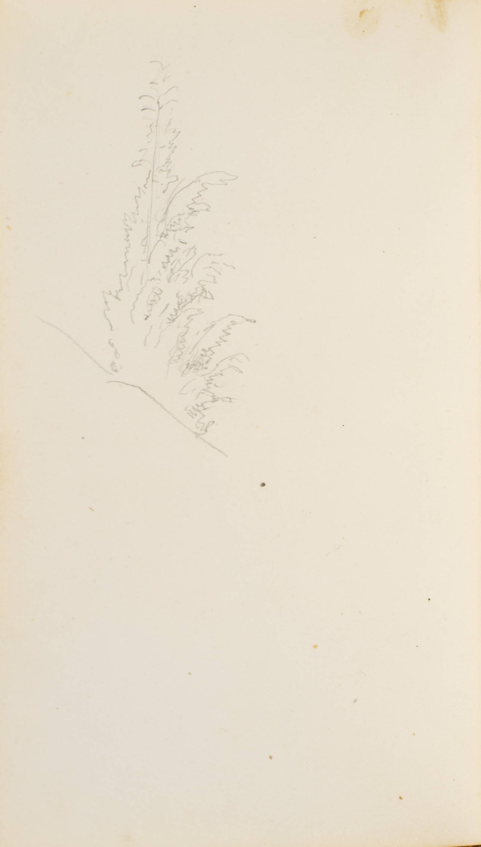 En busk, P.C. Skovgaard, 1869