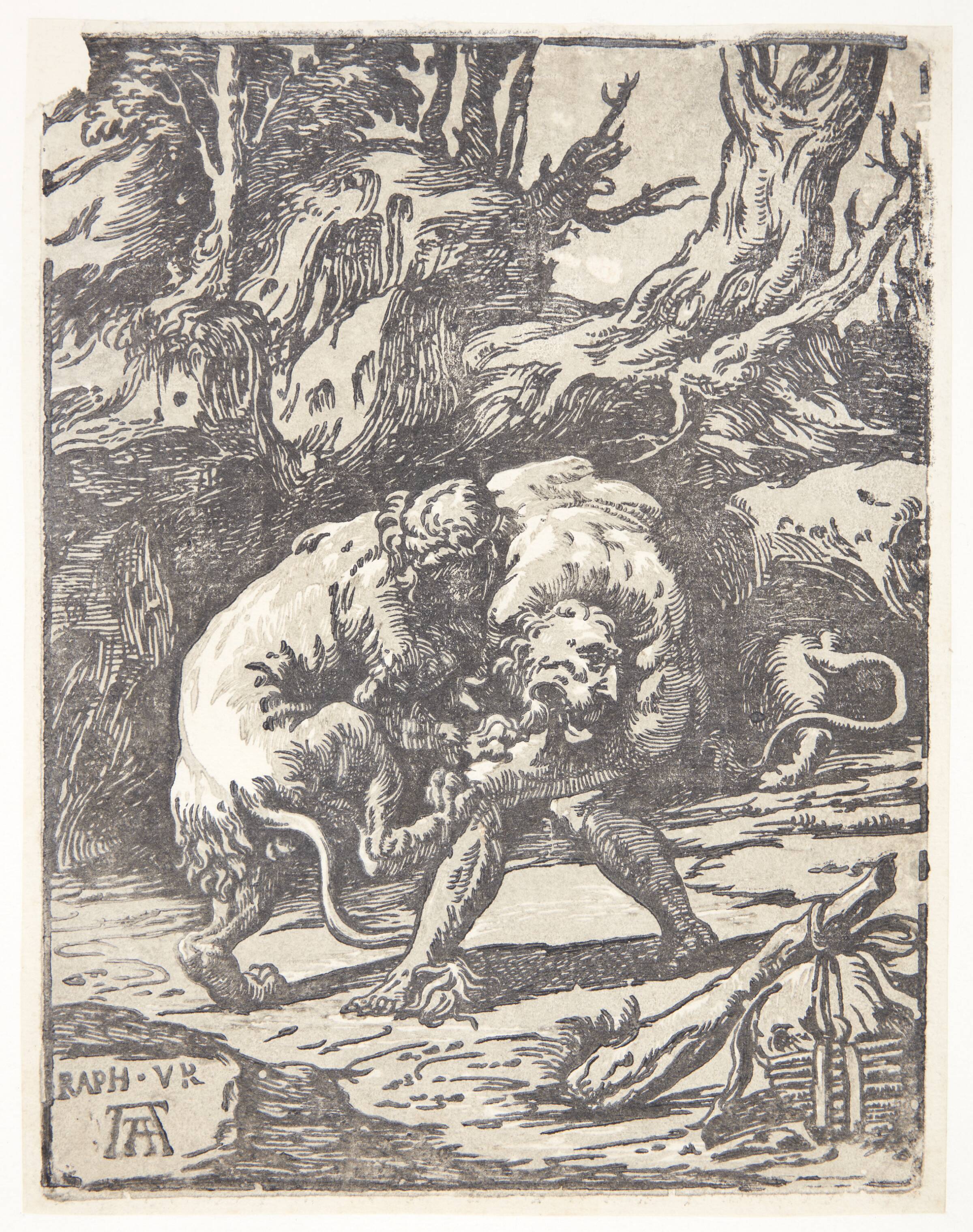 Herkules og den nemæiske løve, Nicolò Vicentino, 1510-1550