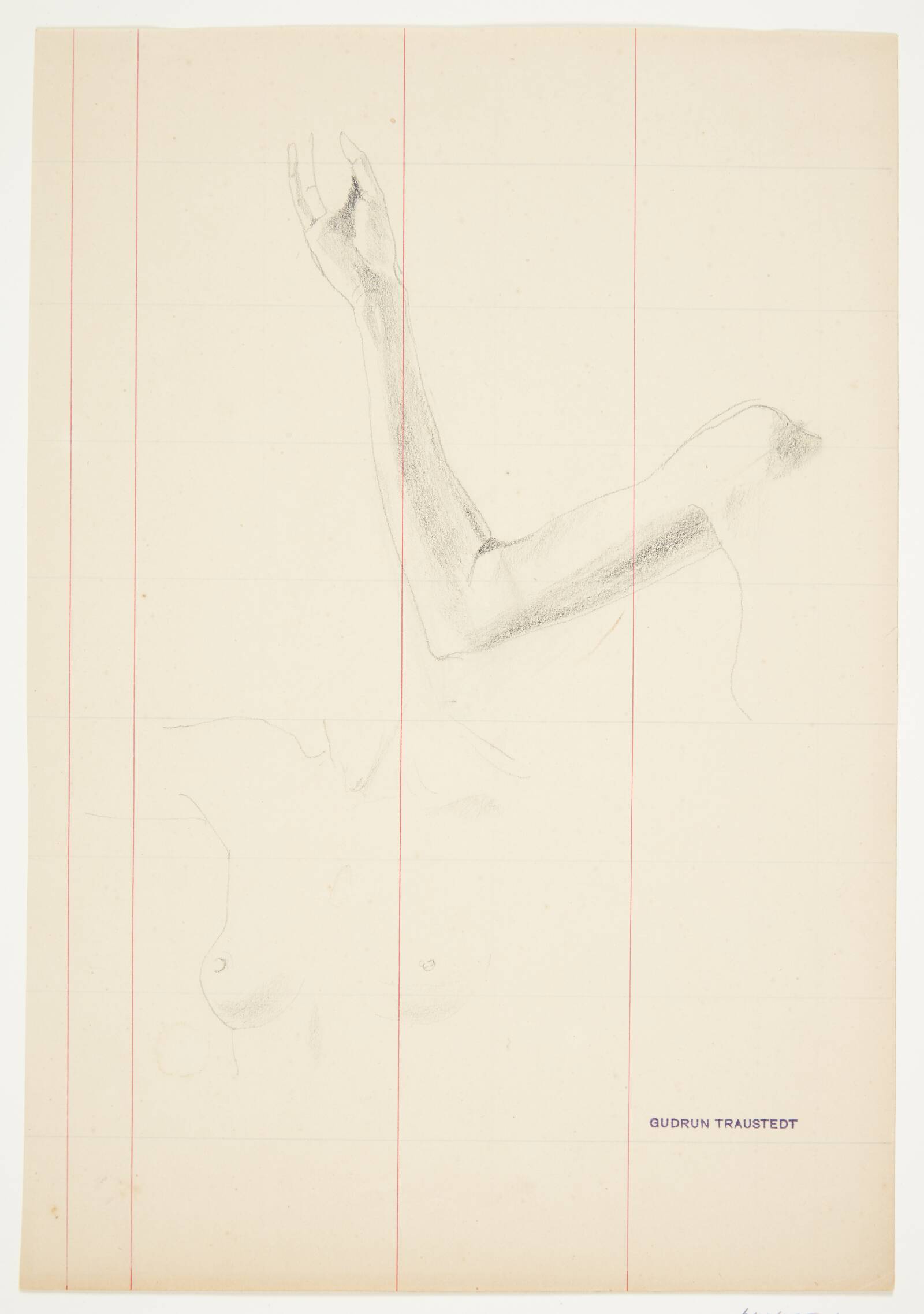 Studier af en kvindes arm og overkrop, Traustedt, Gudrun, 1915-1924
