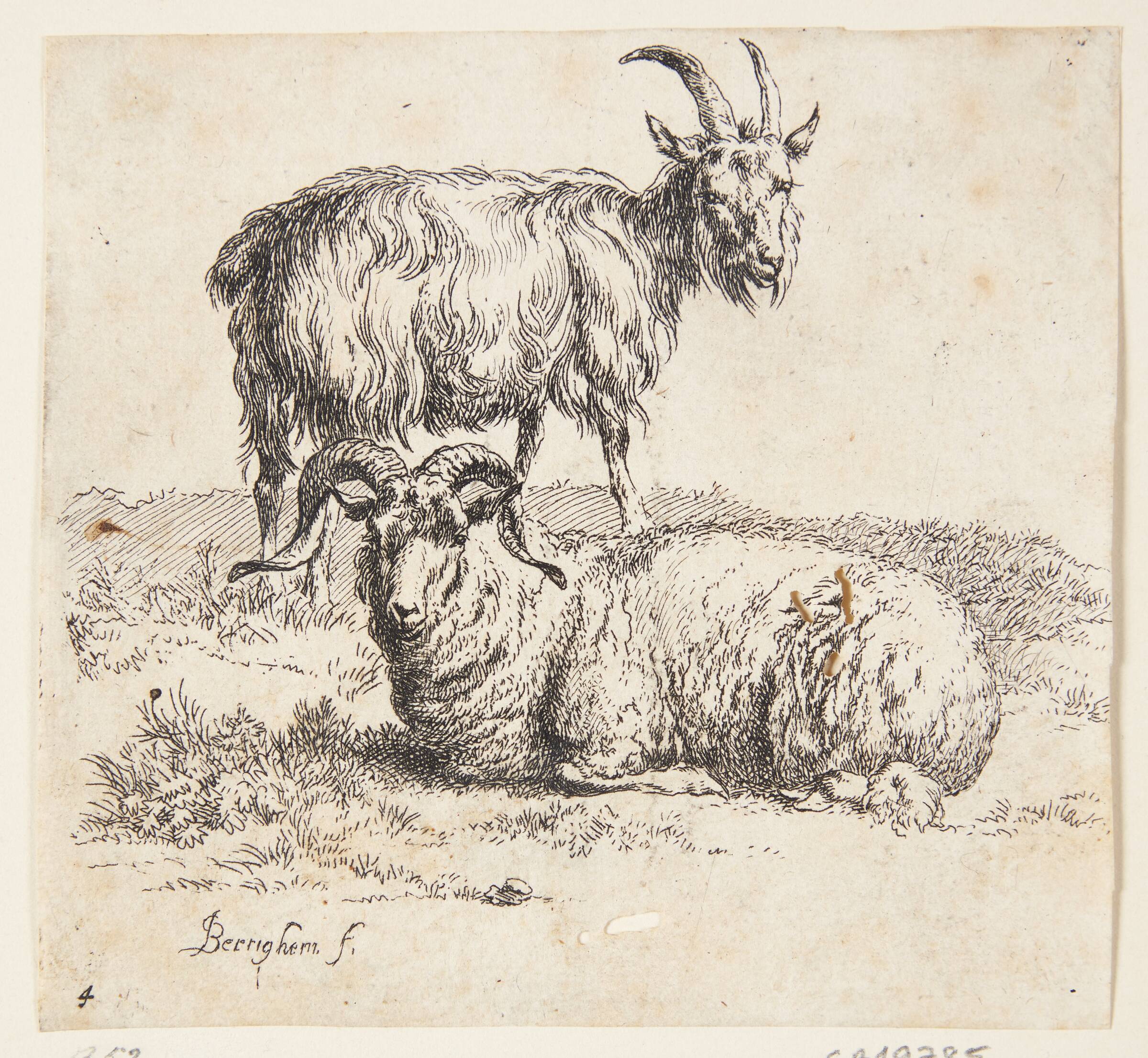 Stående ged og en liggende vædder, Nicolaes Berchem, 1620-1683