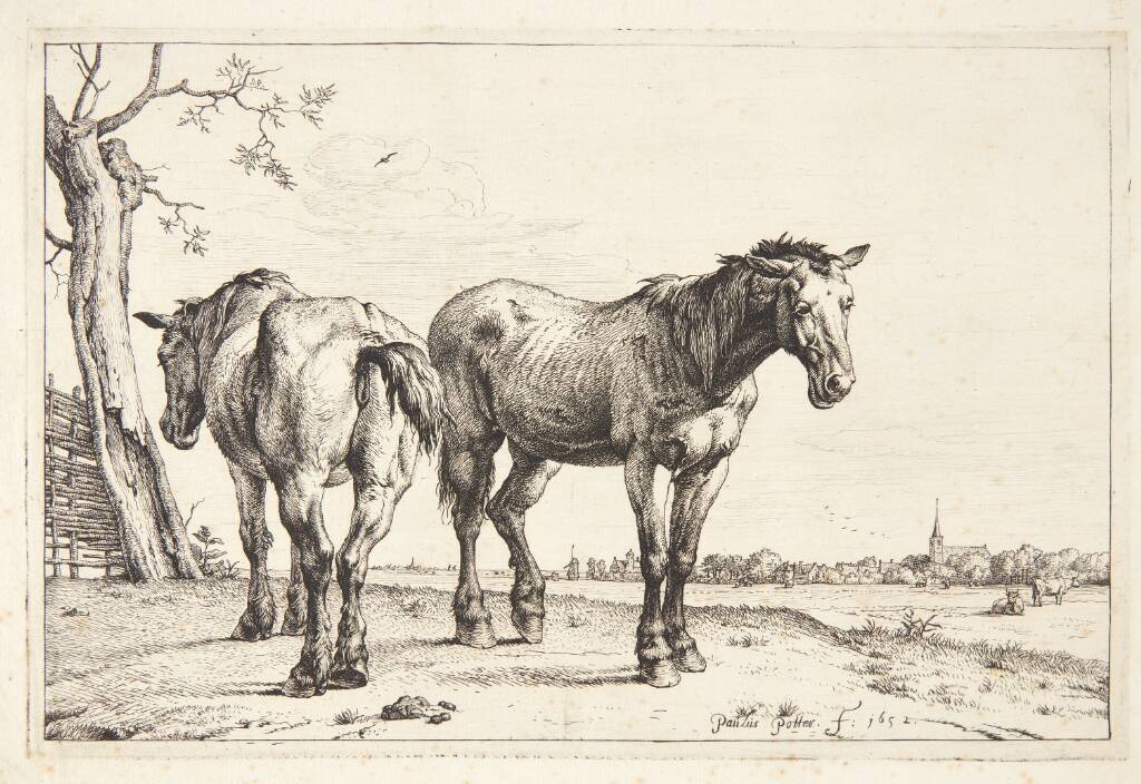 To pløjeheste, Paulus Potter, 1652