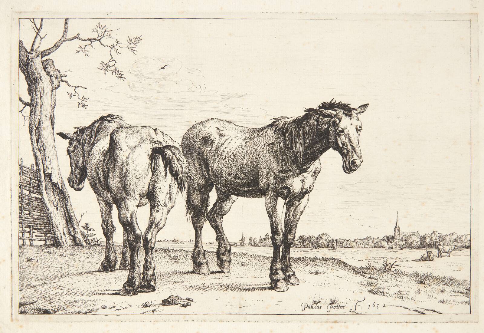 To pløjeheste, Paulus Potter, 1652