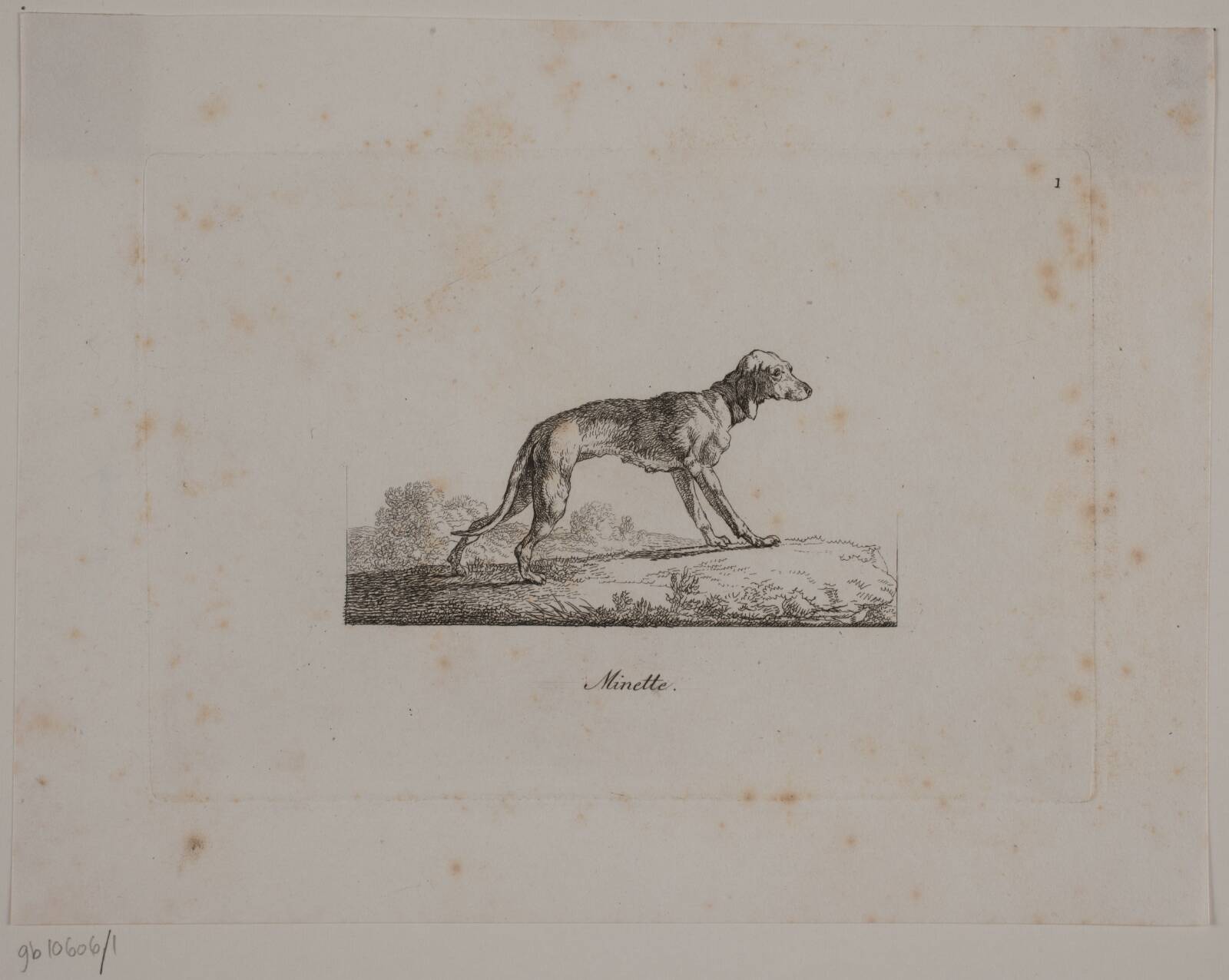 Minette, Christian David Gebauer, 1821