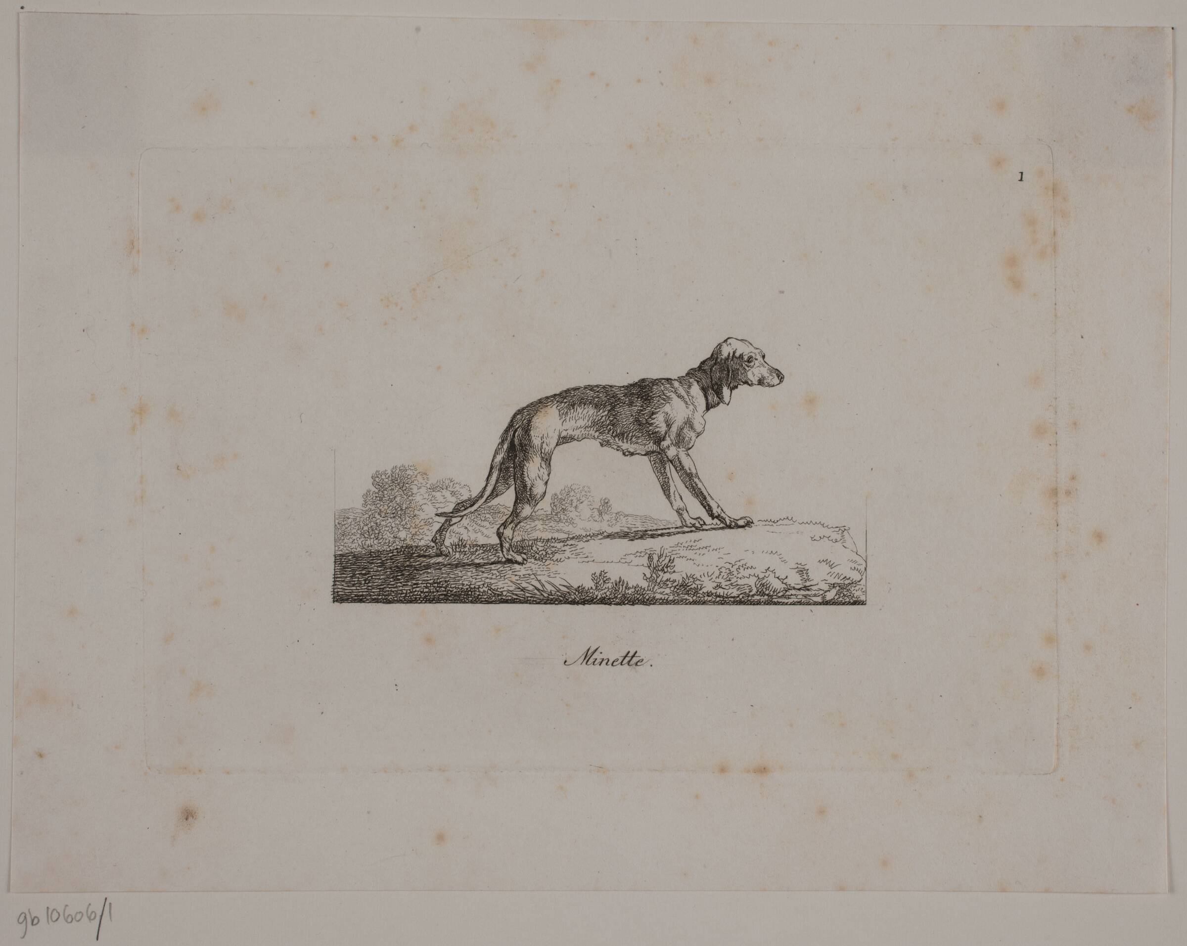 Minette, Christian David Gebauer, 1821