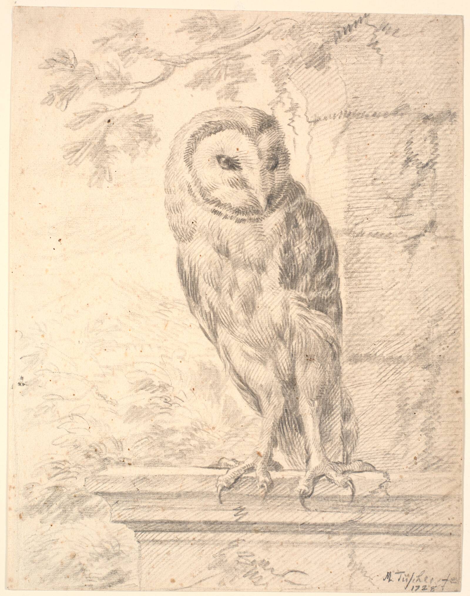 Baron von Stoschs ugle, Marcus Tuscher, 1728