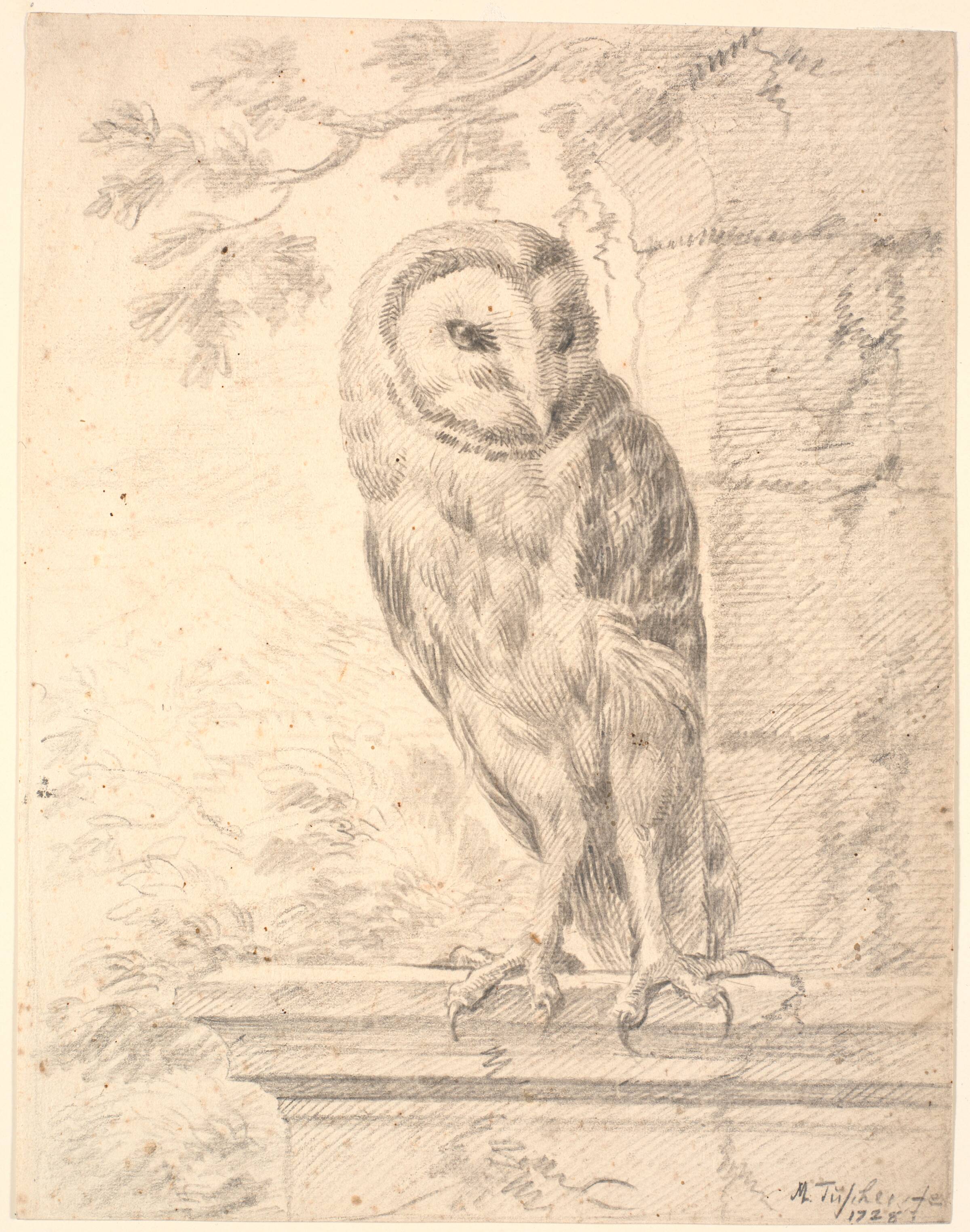 Baron von Stoschs ugle, Marcus Tuscher, 1728