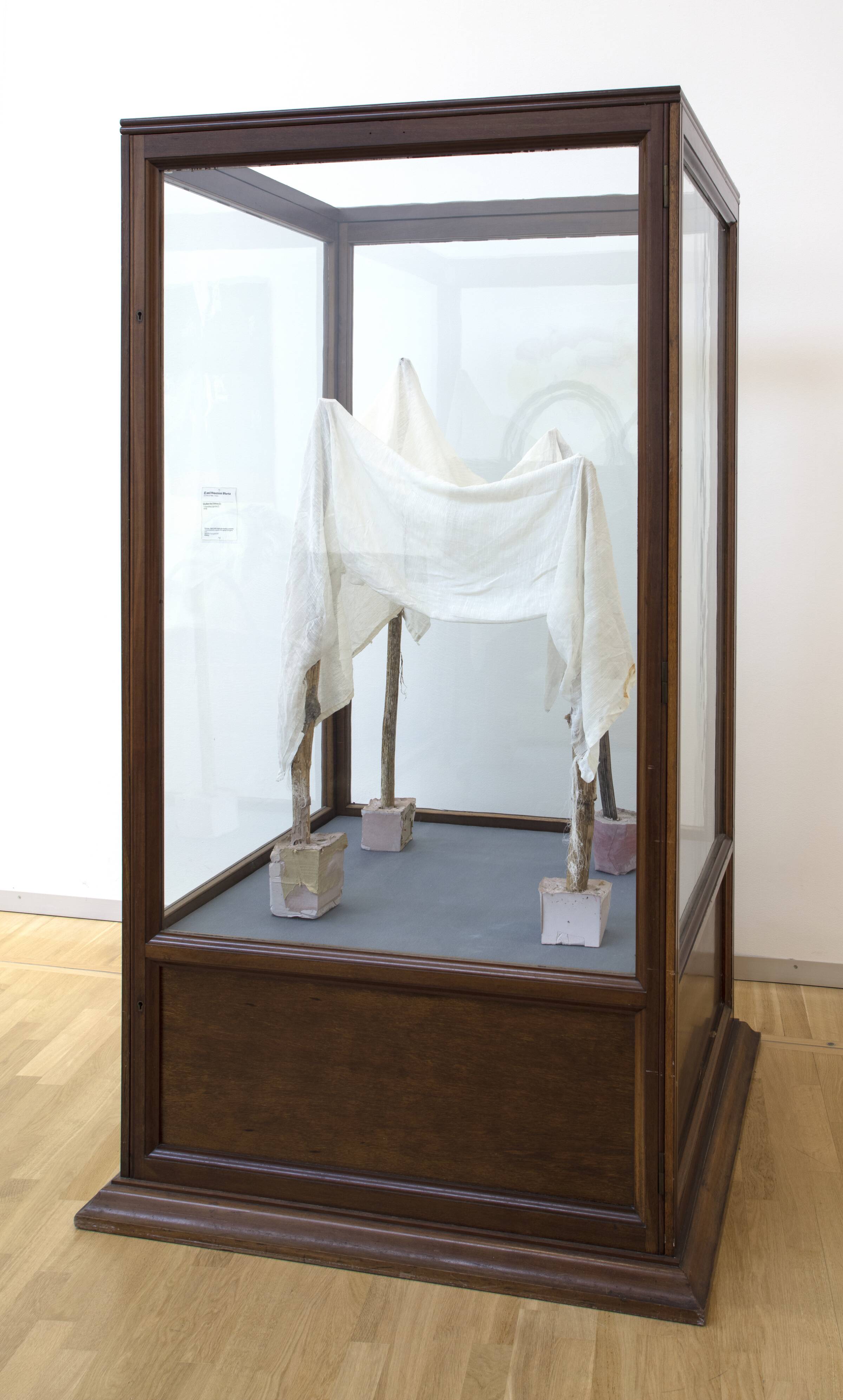 Uden titel (vitrine 2), Emil Westman Hertz, 2016