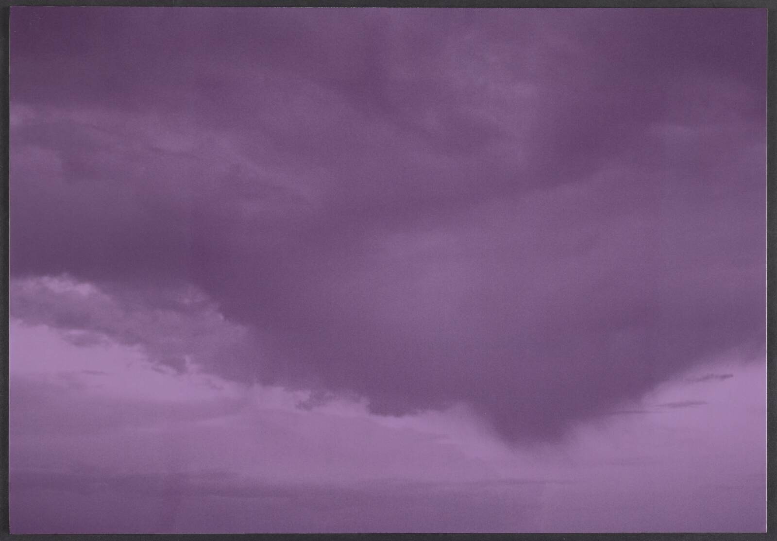 Arizona, Erik Steffensen, 2001