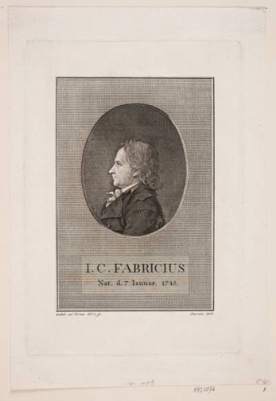 J. C. Fabricius