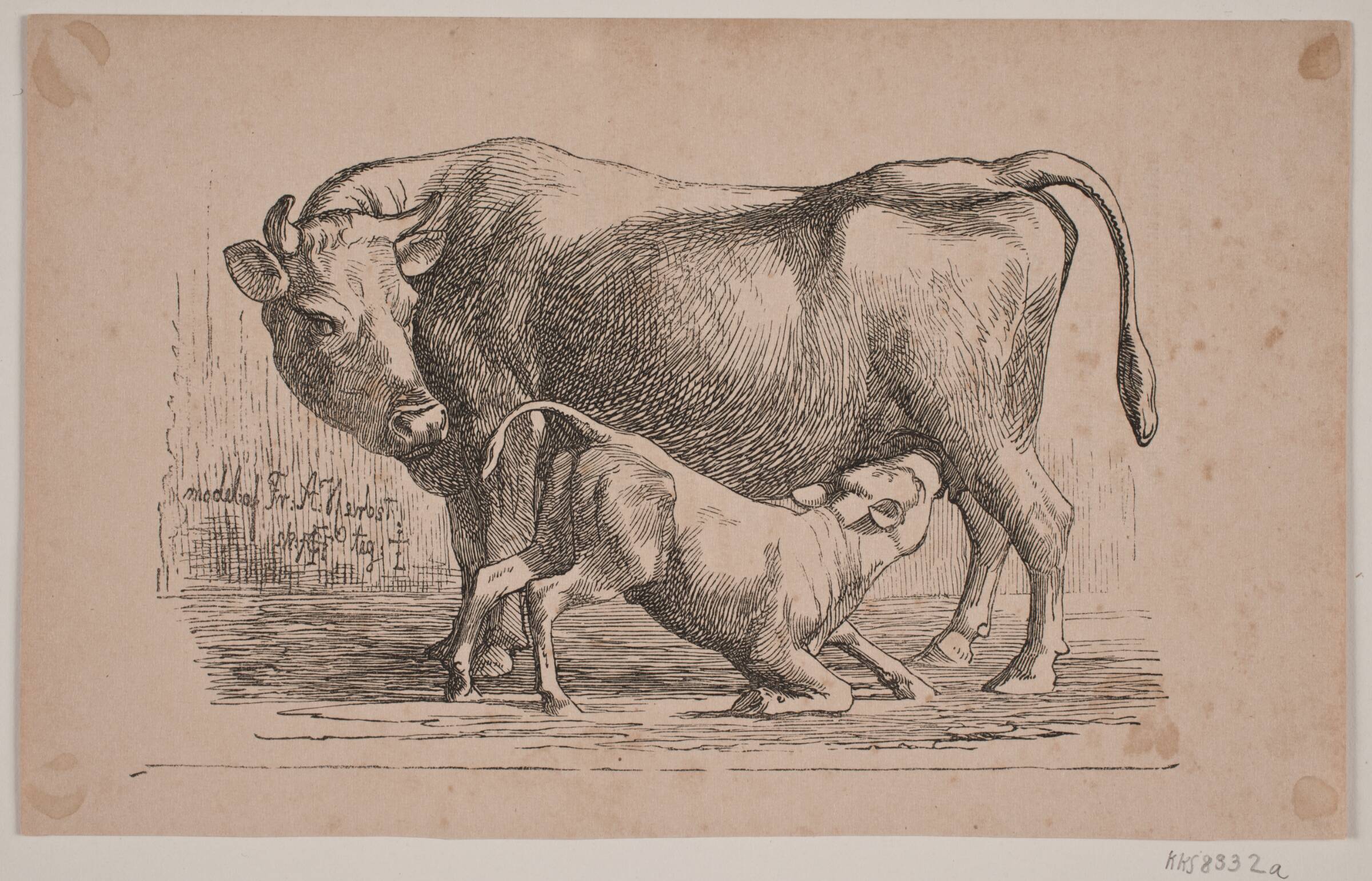 Koen og kalven, Andreas Flinch, 1846